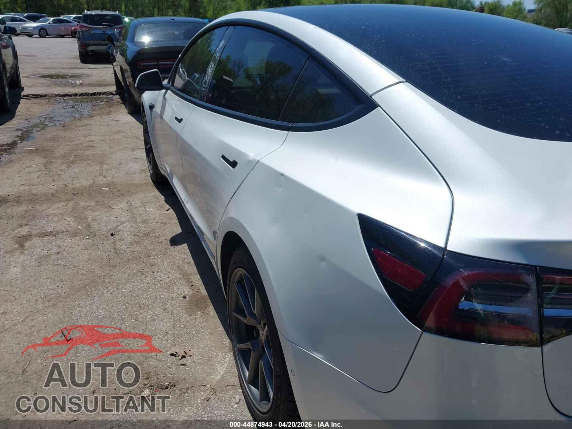 TESLA MODEL 3 2021 - 5YJ3E1EA9MF923493