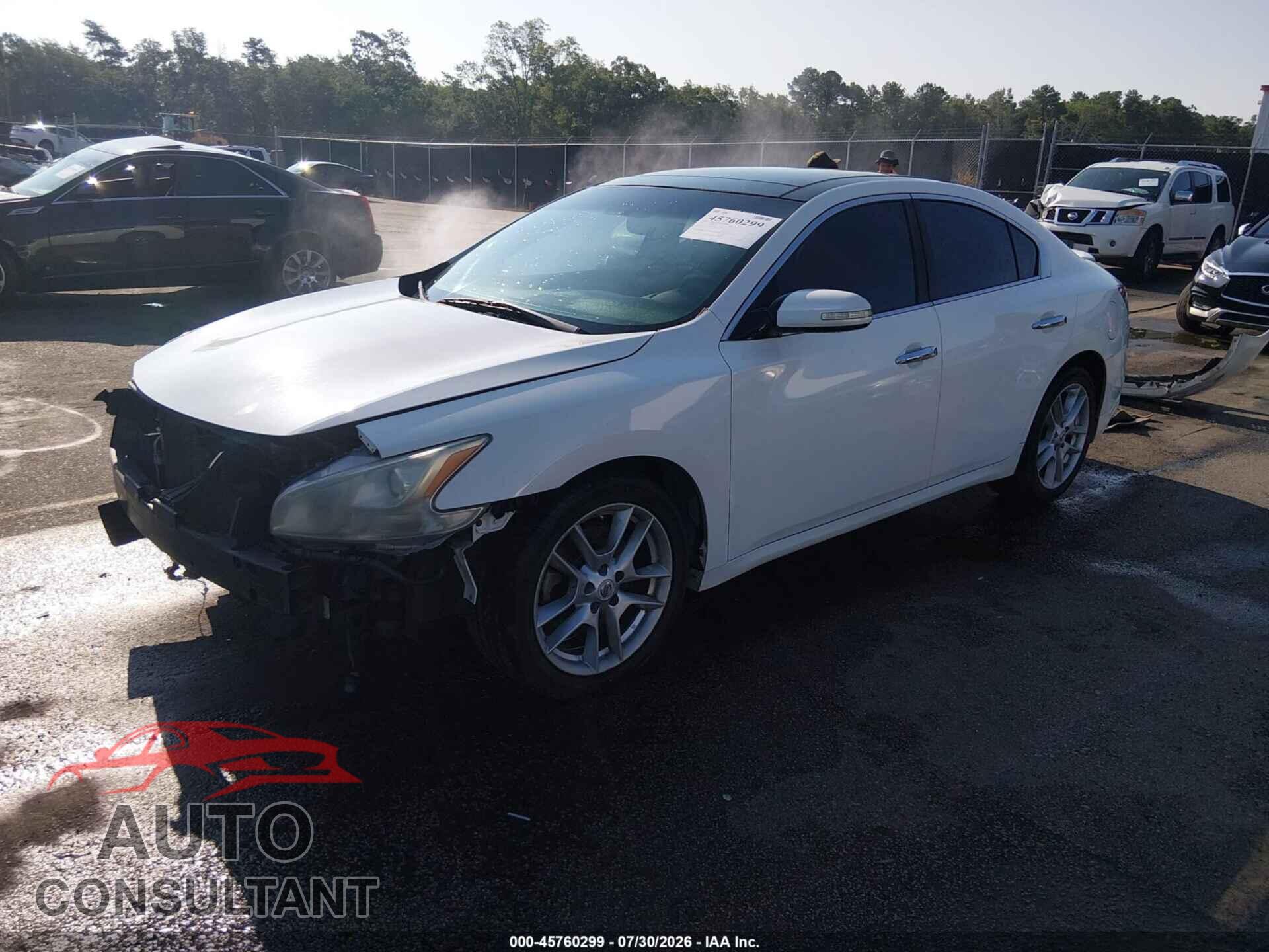 NISSAN MAXIMA 2011 - 1N4AA5AP1BC851161