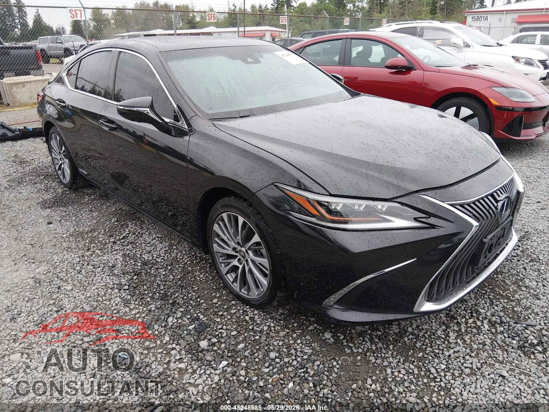 LEXUS ES 300H 2021 - 58AEA1C16MU012735