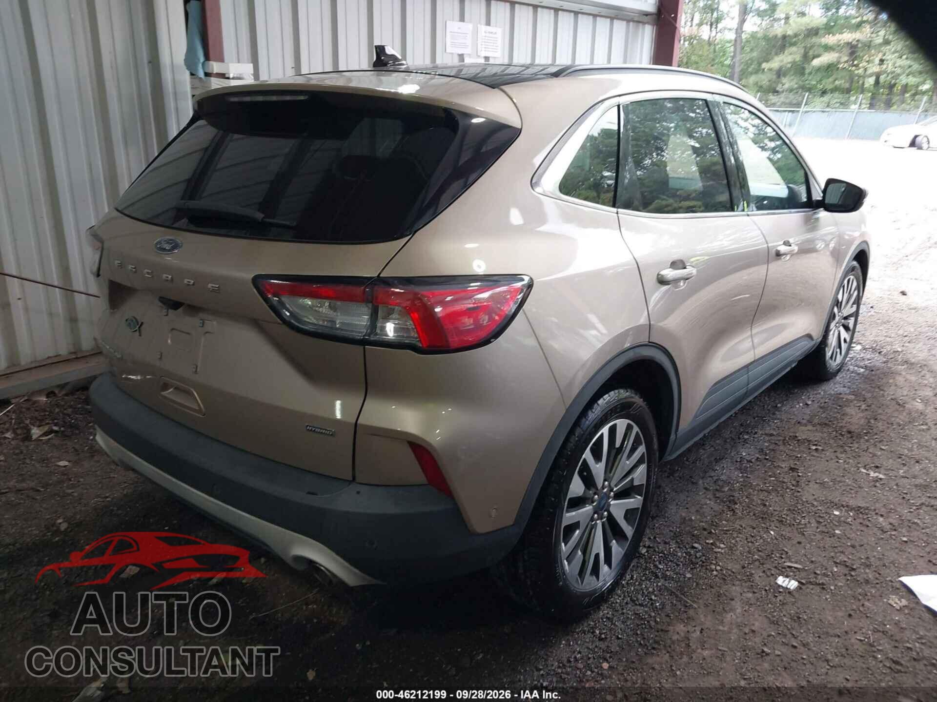 FORD ESCAPE 2020 - 1FMCU0DZXLUA70656