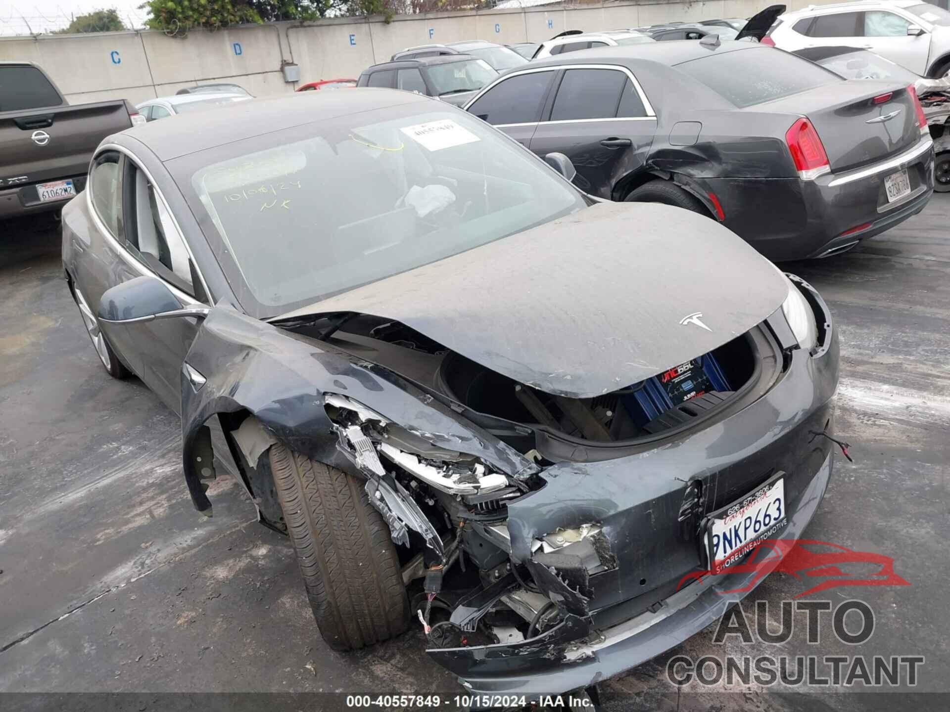 TESLA MODEL 3 2019 - 5YJ3E1EA9KF495289