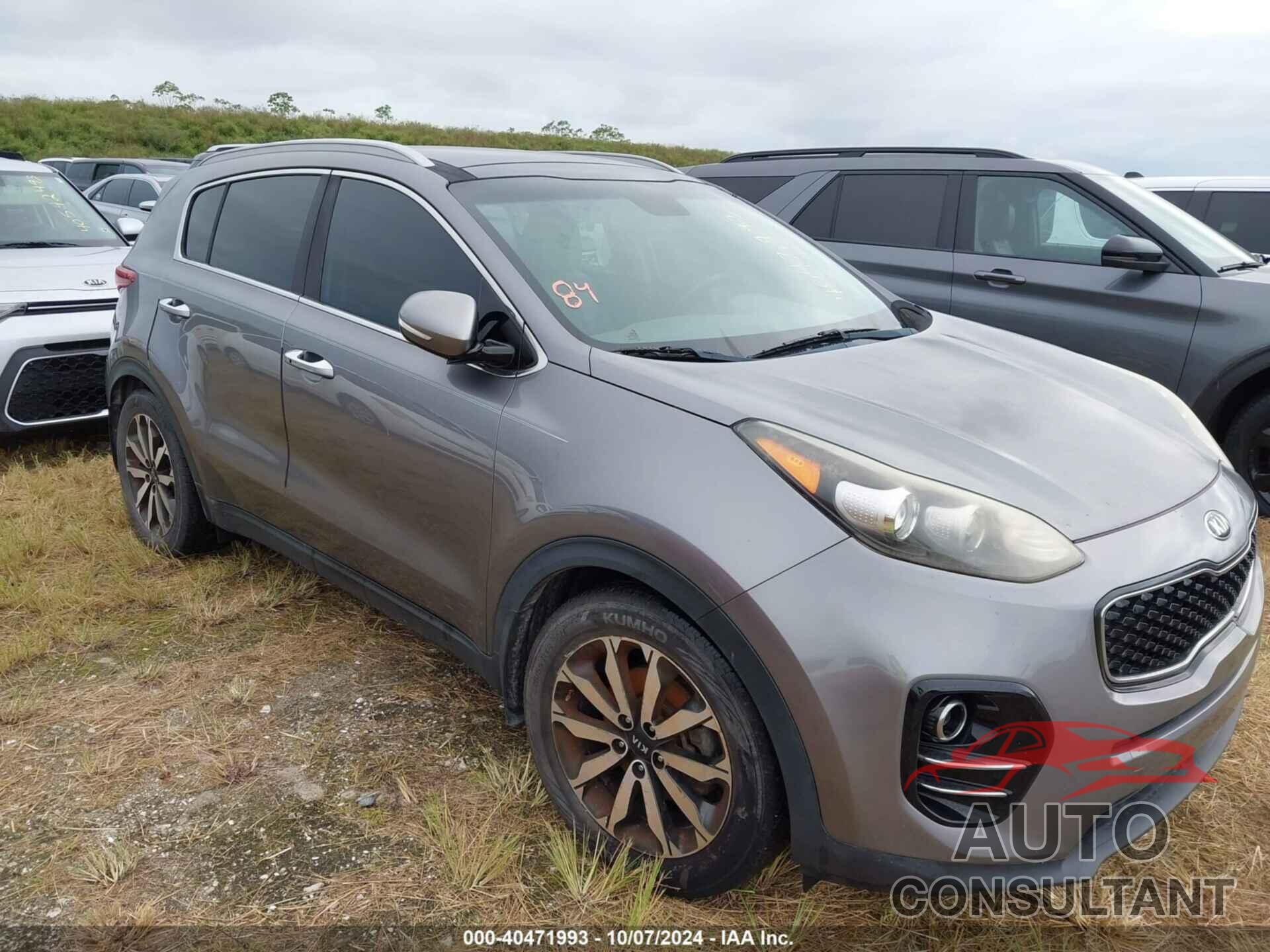 KIA SPORTAGE 2017 - KNDPN3AC6H7262666