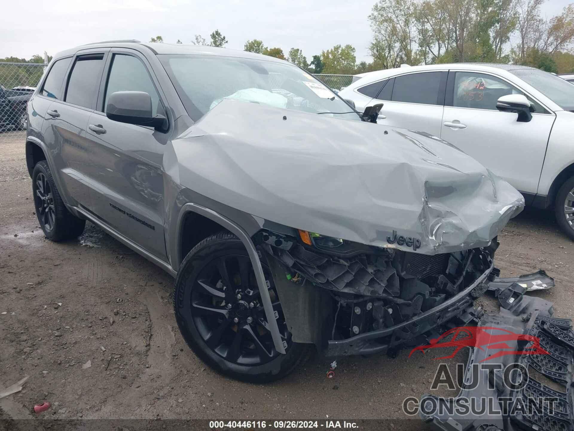 JEEP GRAND CHEROKEE 2020 - 1C4RJFAG1LC189618