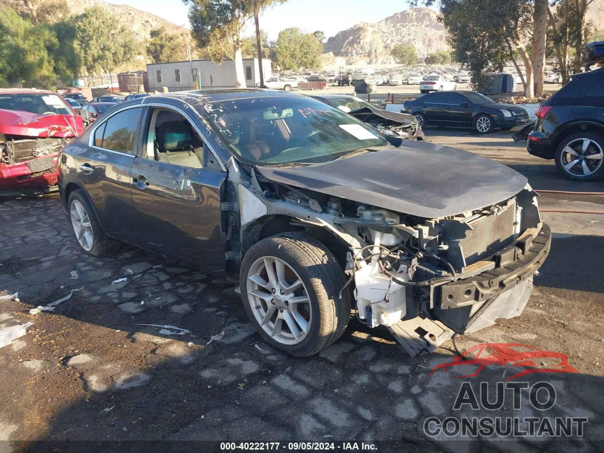 NISSAN MAXIMA 2009 - 1N4AA51E49C821774