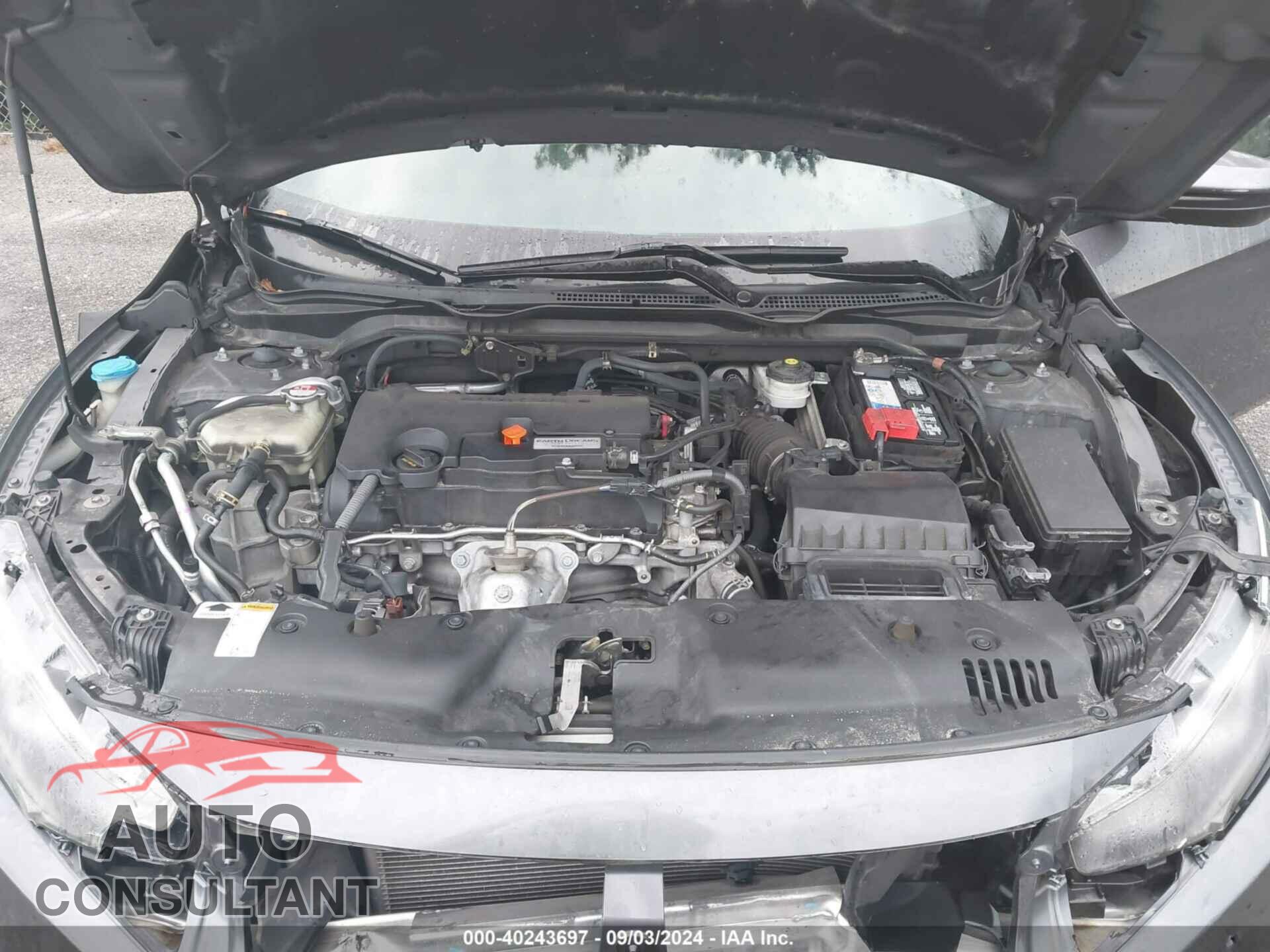 HONDA CIVIC 2016 - 2HGFC4B01GH311238