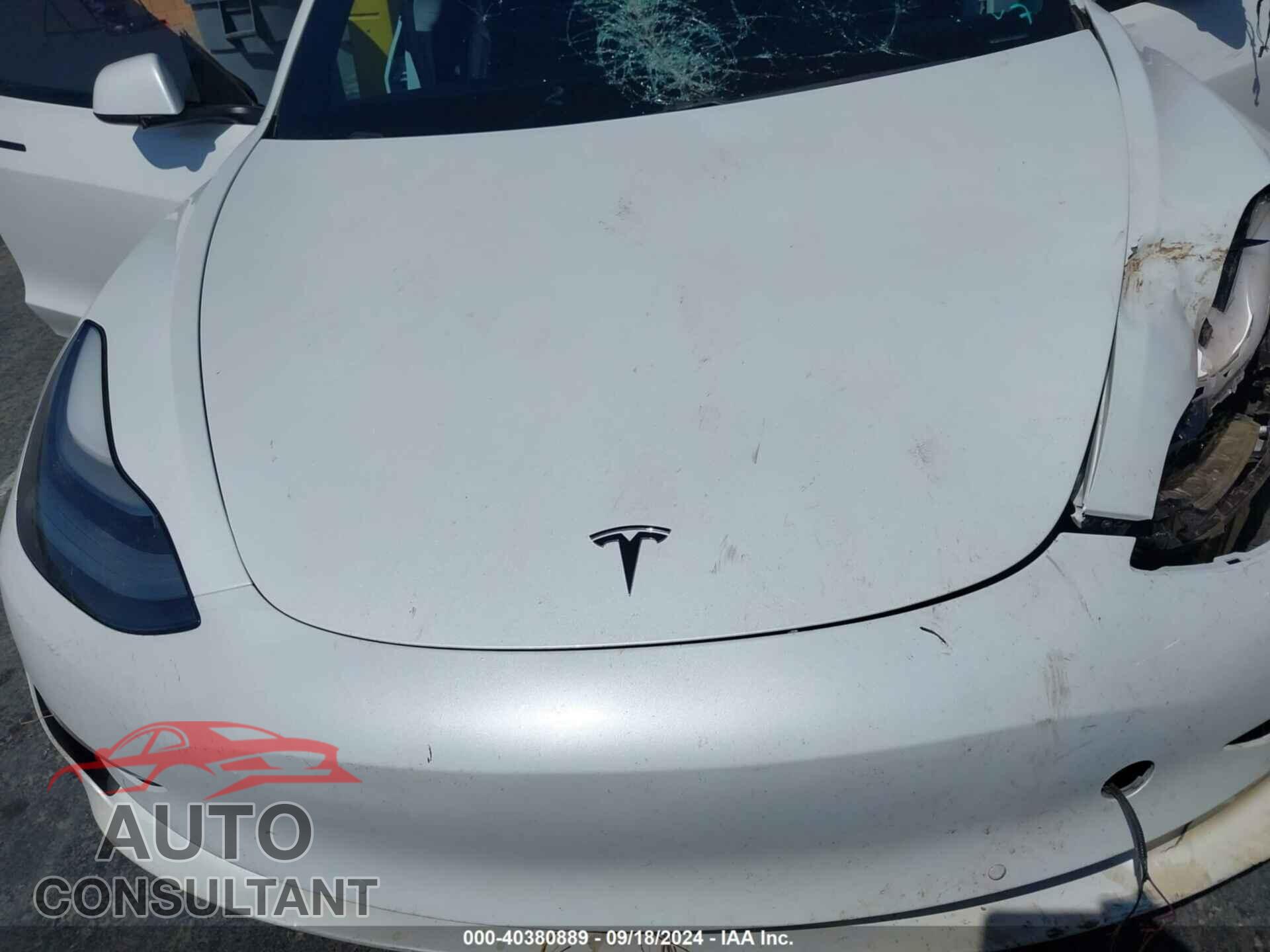 TESLA MODEL 3 2021 - 5YJ3E1EA2MF068233