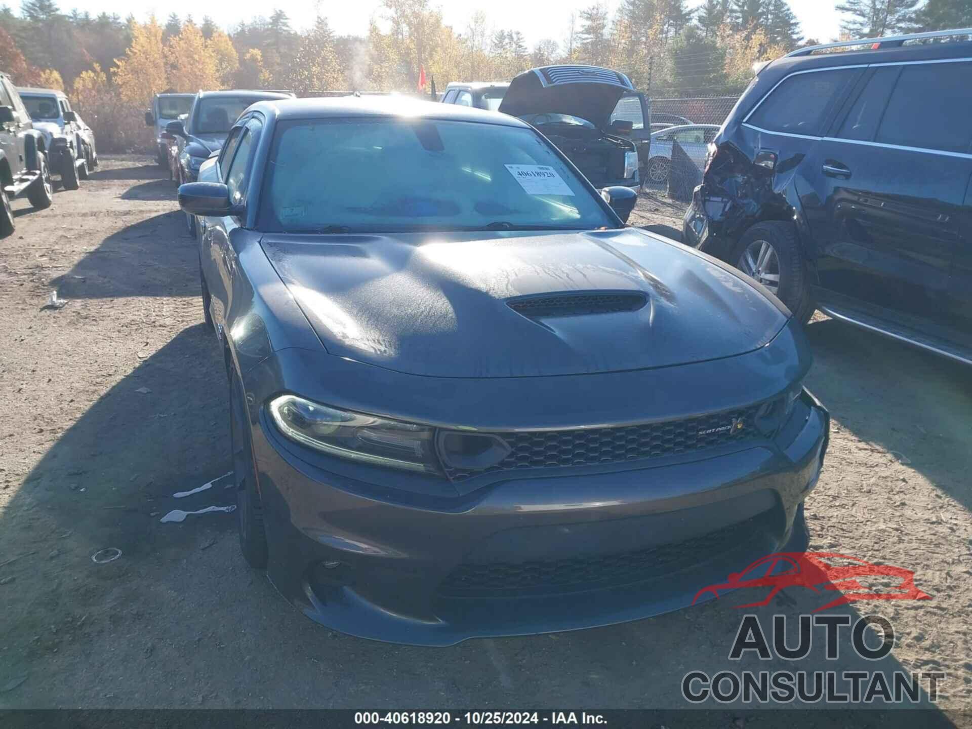 DODGE CHARGER 2019 - 2C3CDXGJ4KH658934