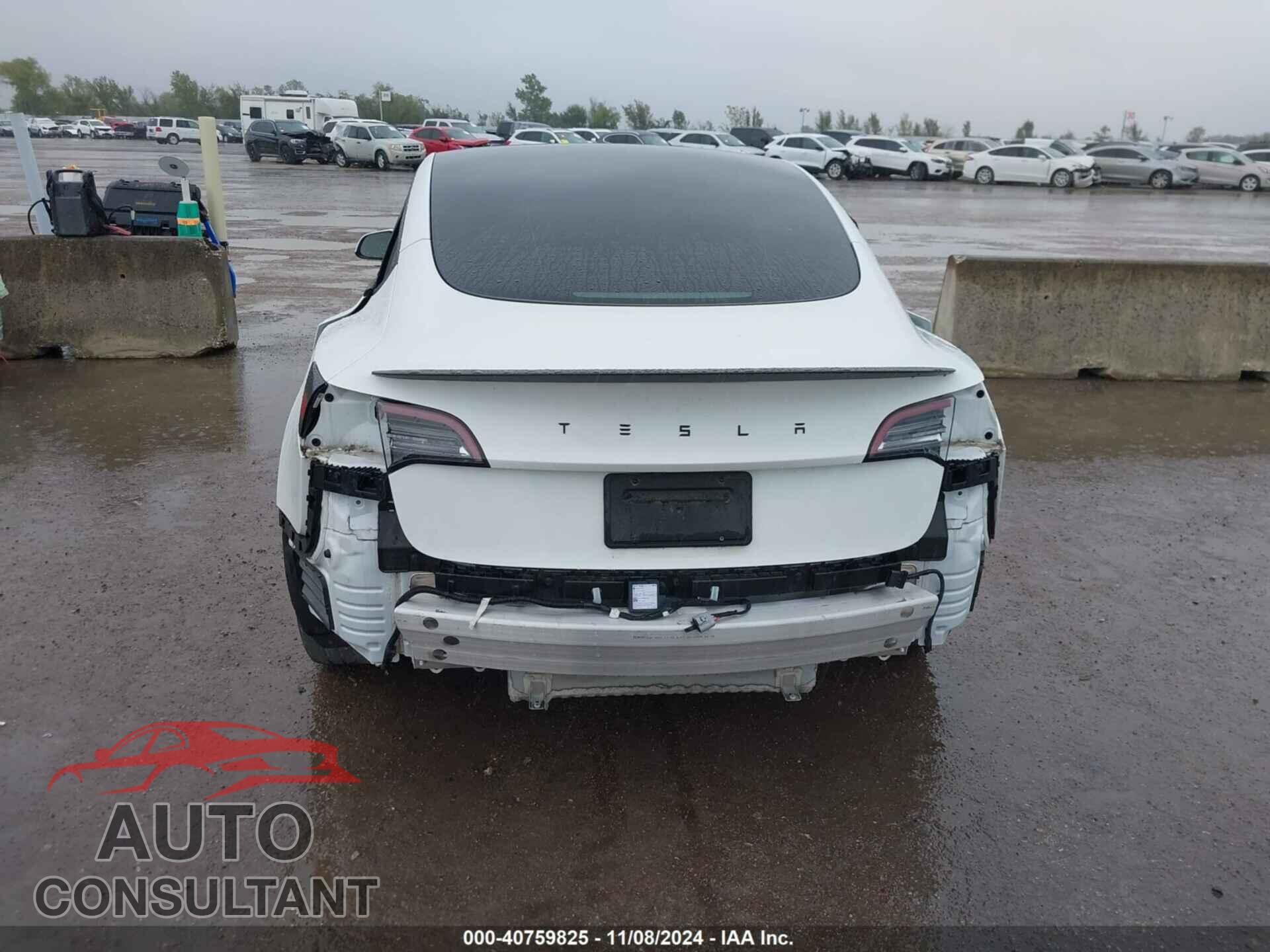 TESLA MODEL 3 2021 - 5YJ3E1EA7MF096643