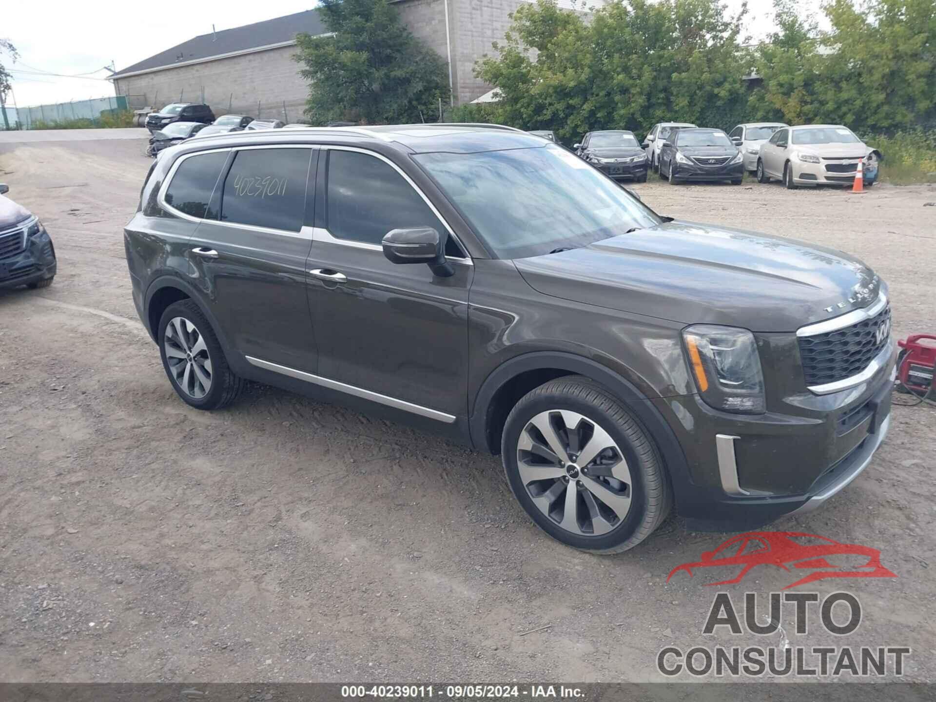 KIA TELLURIDE 2022 - 5XYP6DHC7NG243535