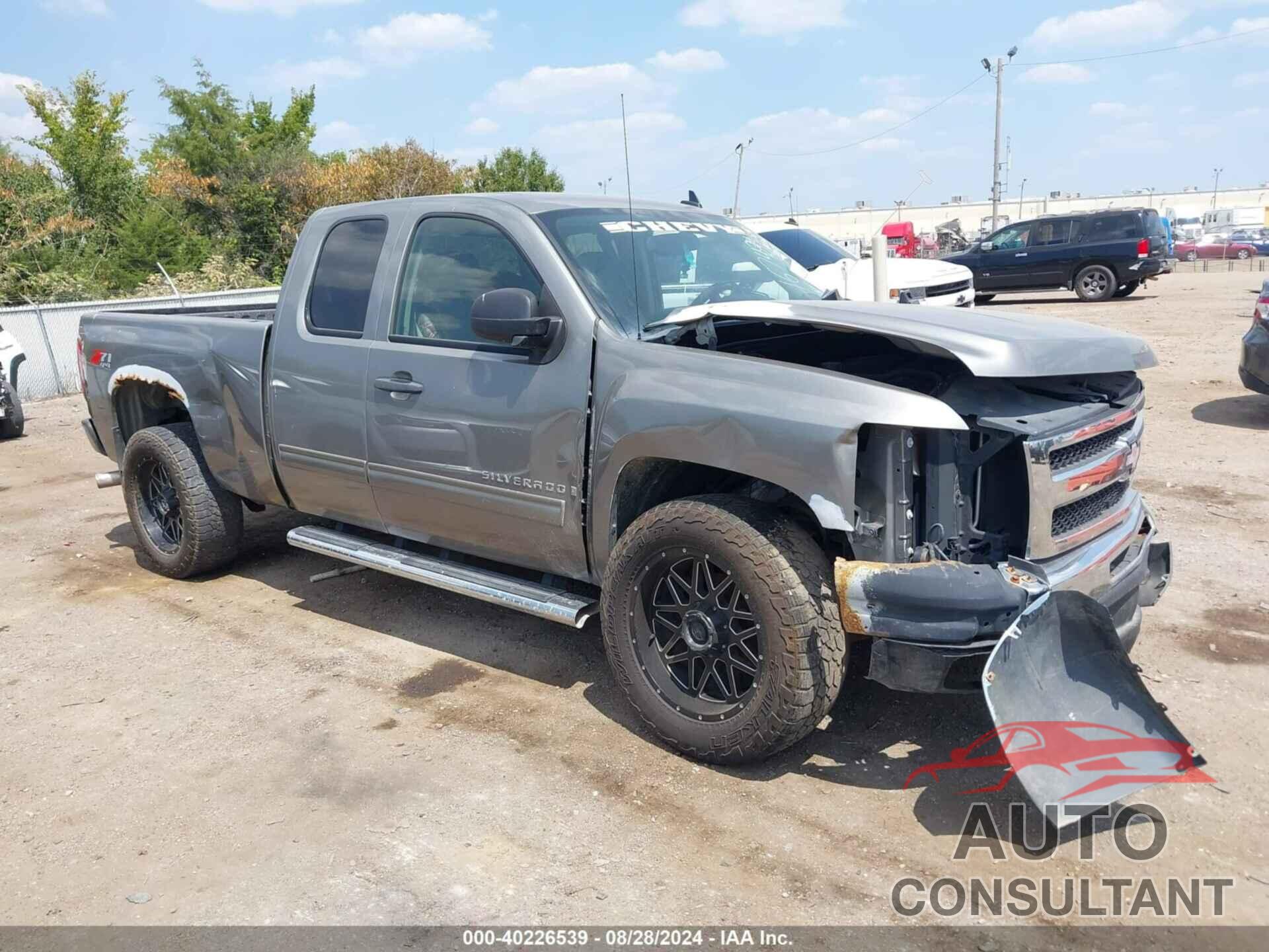 CHEVROLET SILVERADO 1500 2009 - 1GCEK29059Z167431