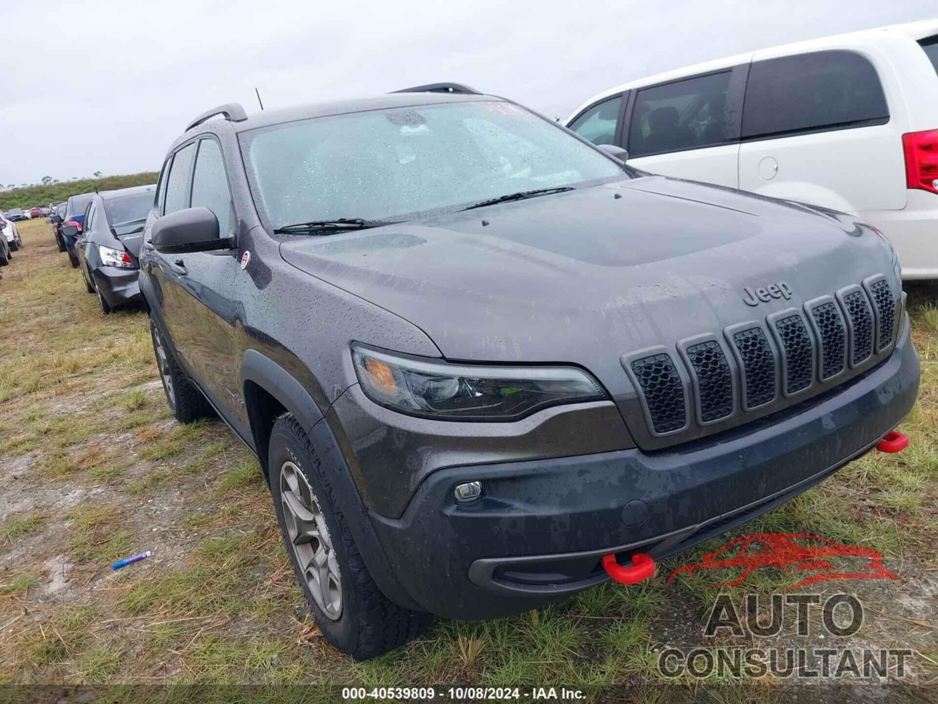 JEEP CHEROKEE 2020 - 1C4PJMBX1LD523148