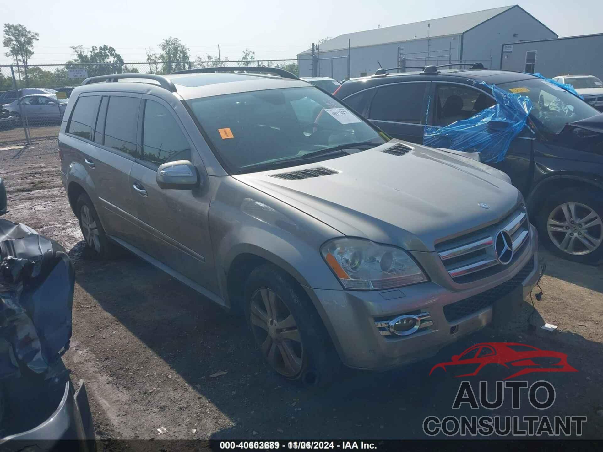 MERCEDES-BENZ GL 450 2009 - 4JGBF71E09A460918