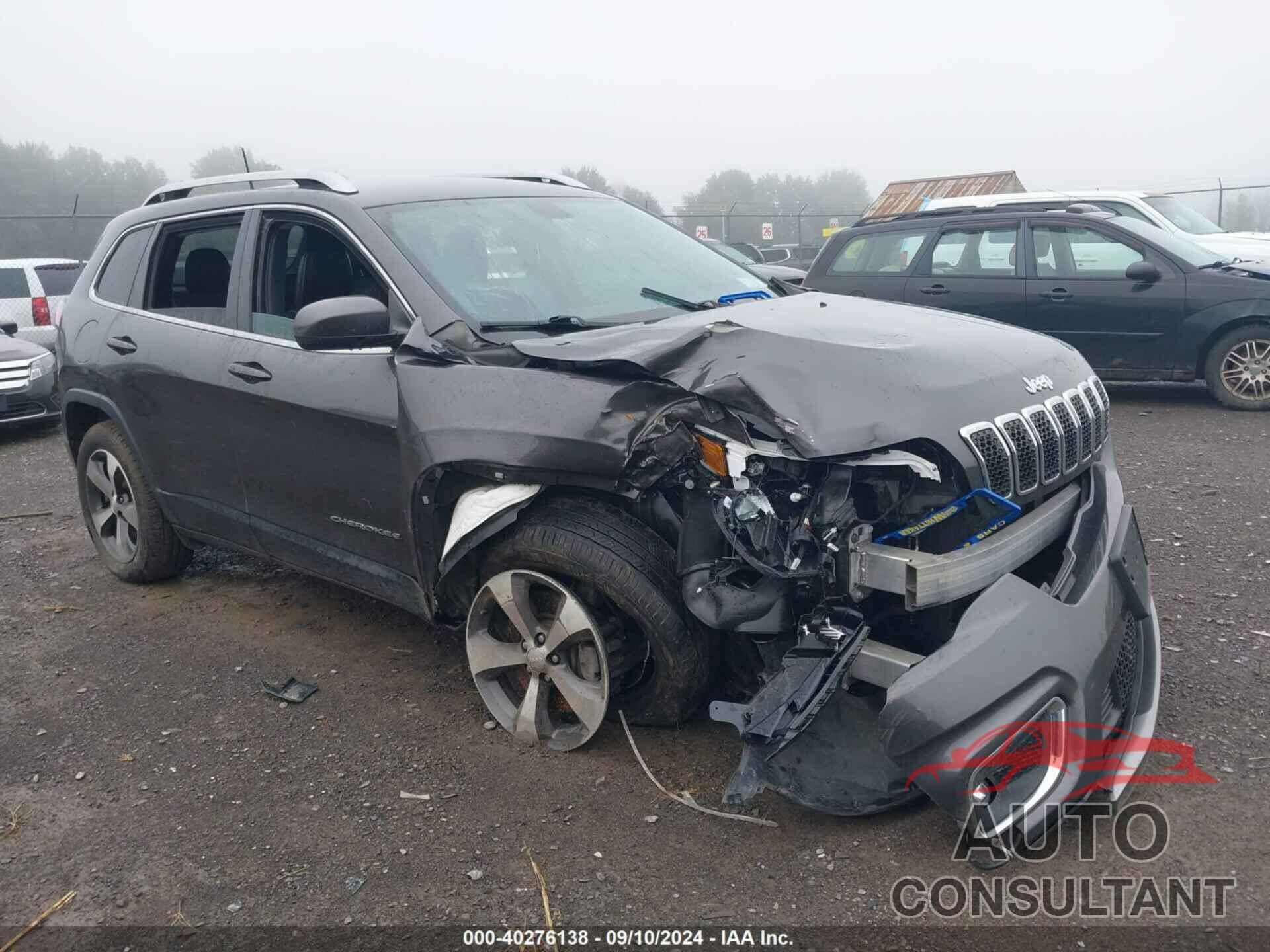JEEP CHEROKEE 2020 - 1C4PJMDN0LD644961