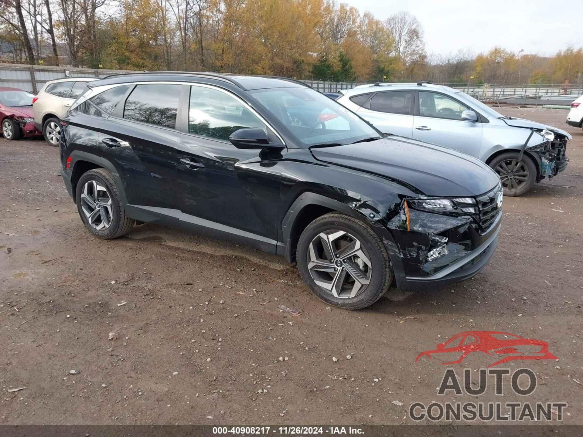 HYUNDAI TUCSON 2024 - 5NMJFCDE9RH296546