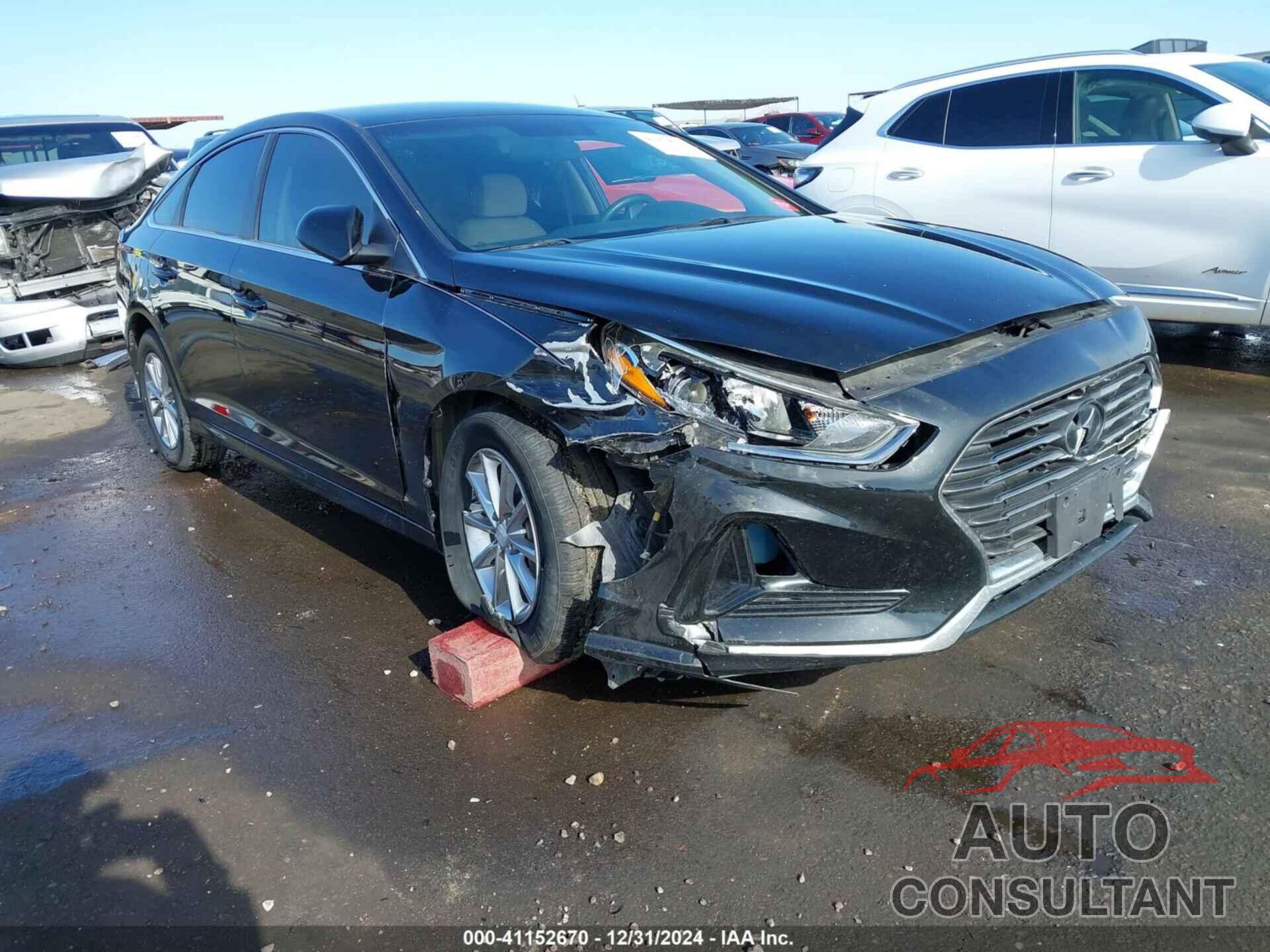 HYUNDAI SONATA 2019 - 5NPE24AF2KH755540