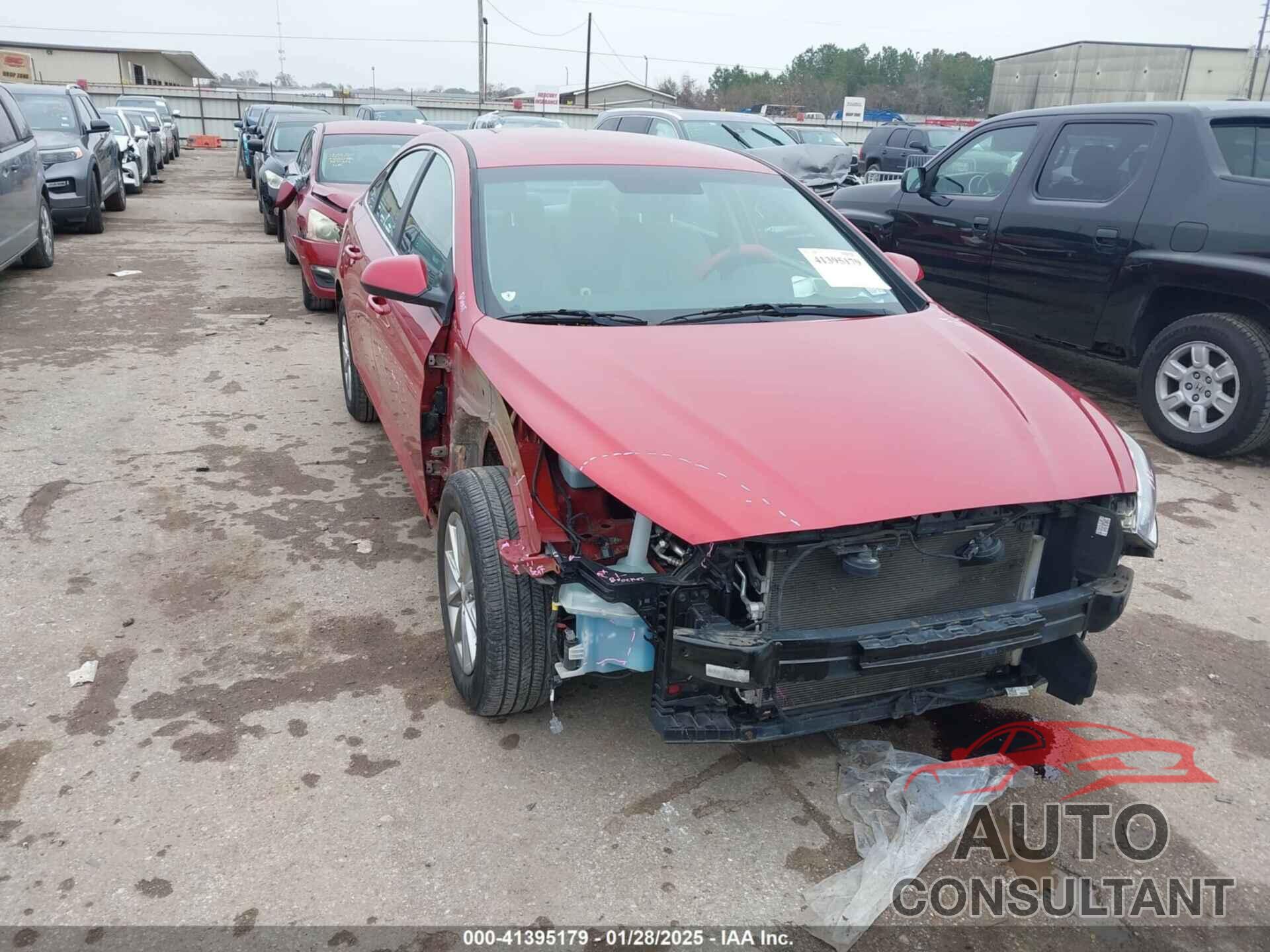 HYUNDAI SONATA 2019 - 5NPE24AF5KH782280