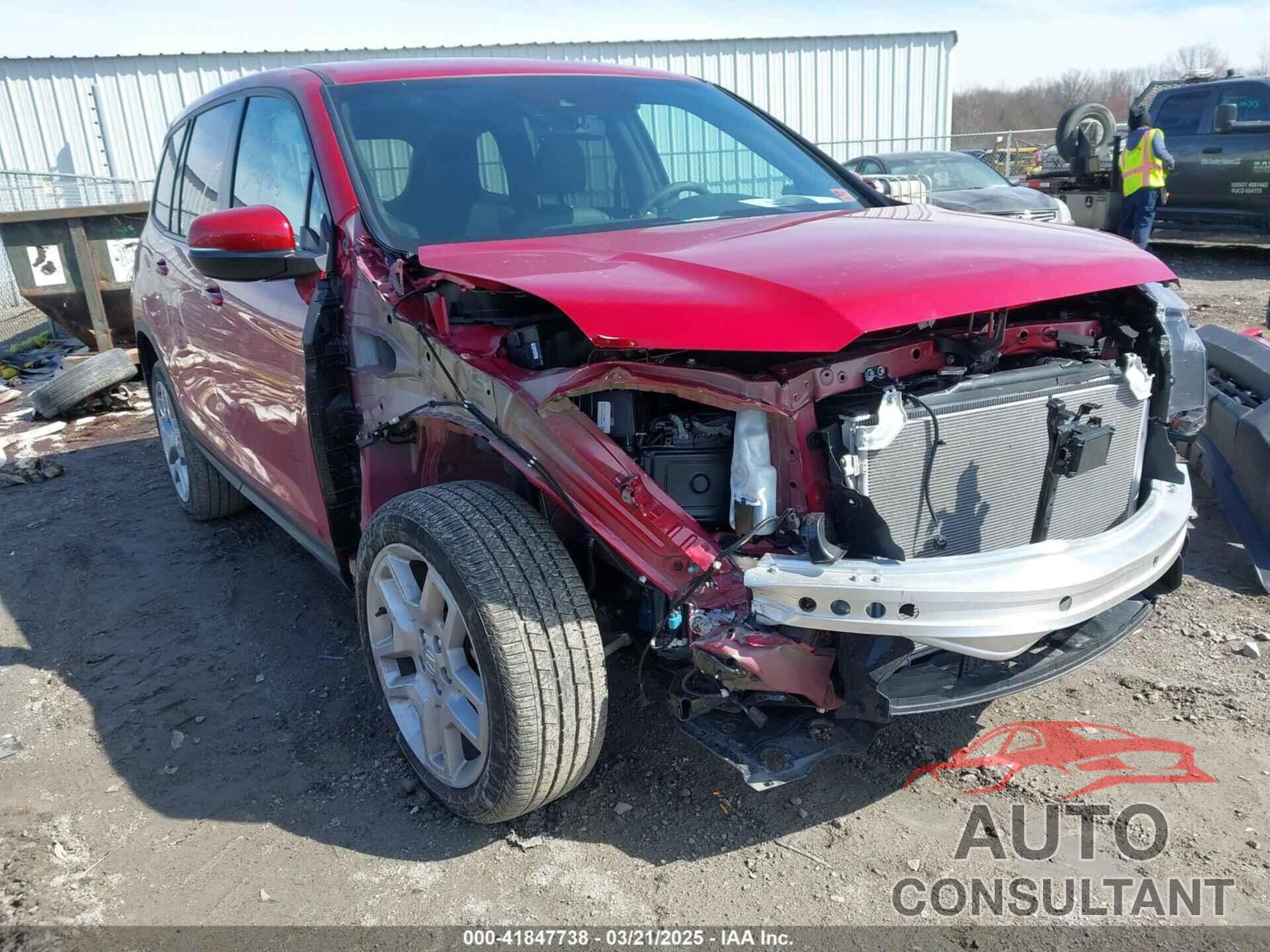 HONDA PASSPORT 2025 - 5FNYF8H51SB003901