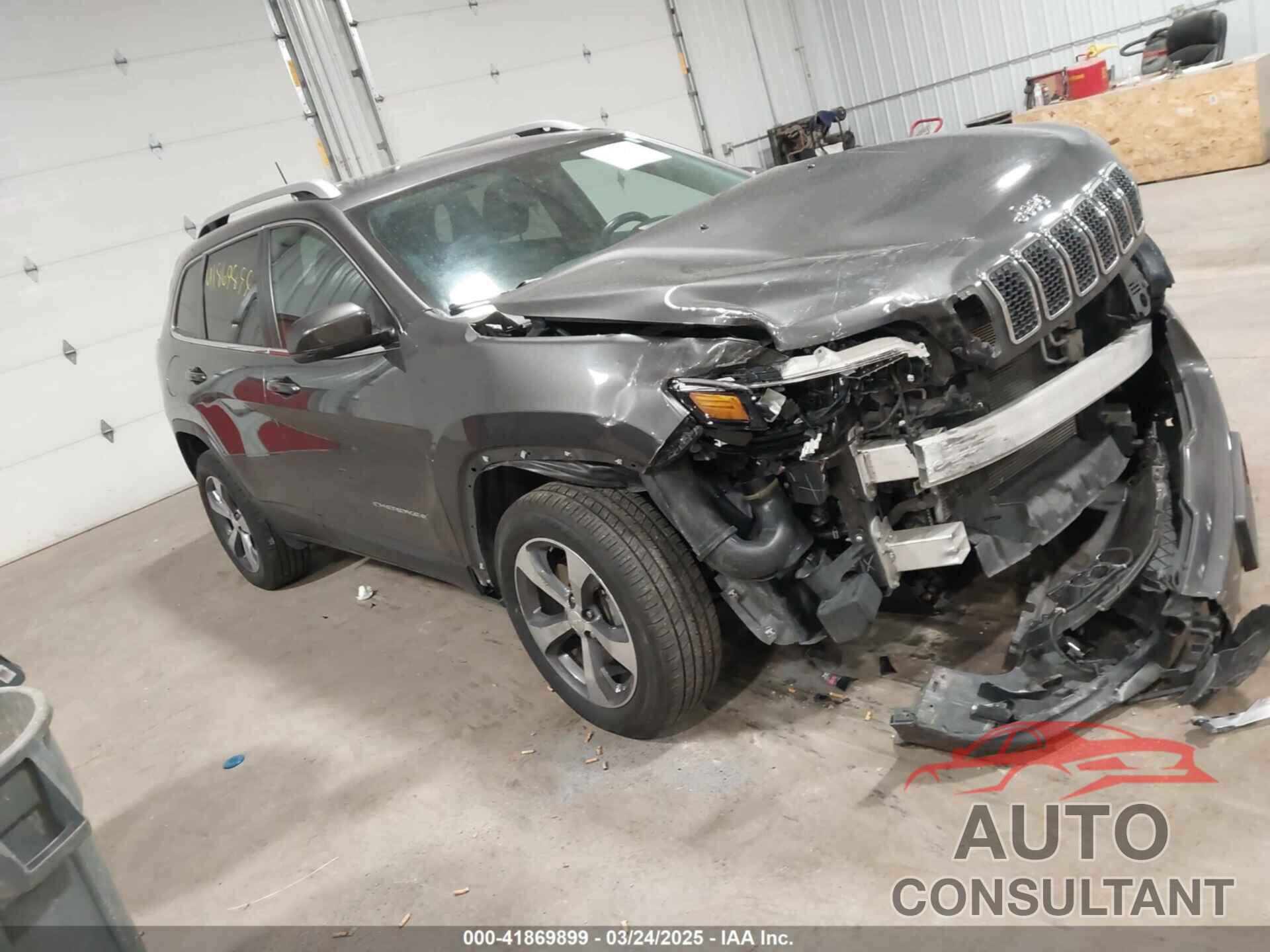 JEEP CHEROKEE 2019 - 1C4PJMDN9KD207393