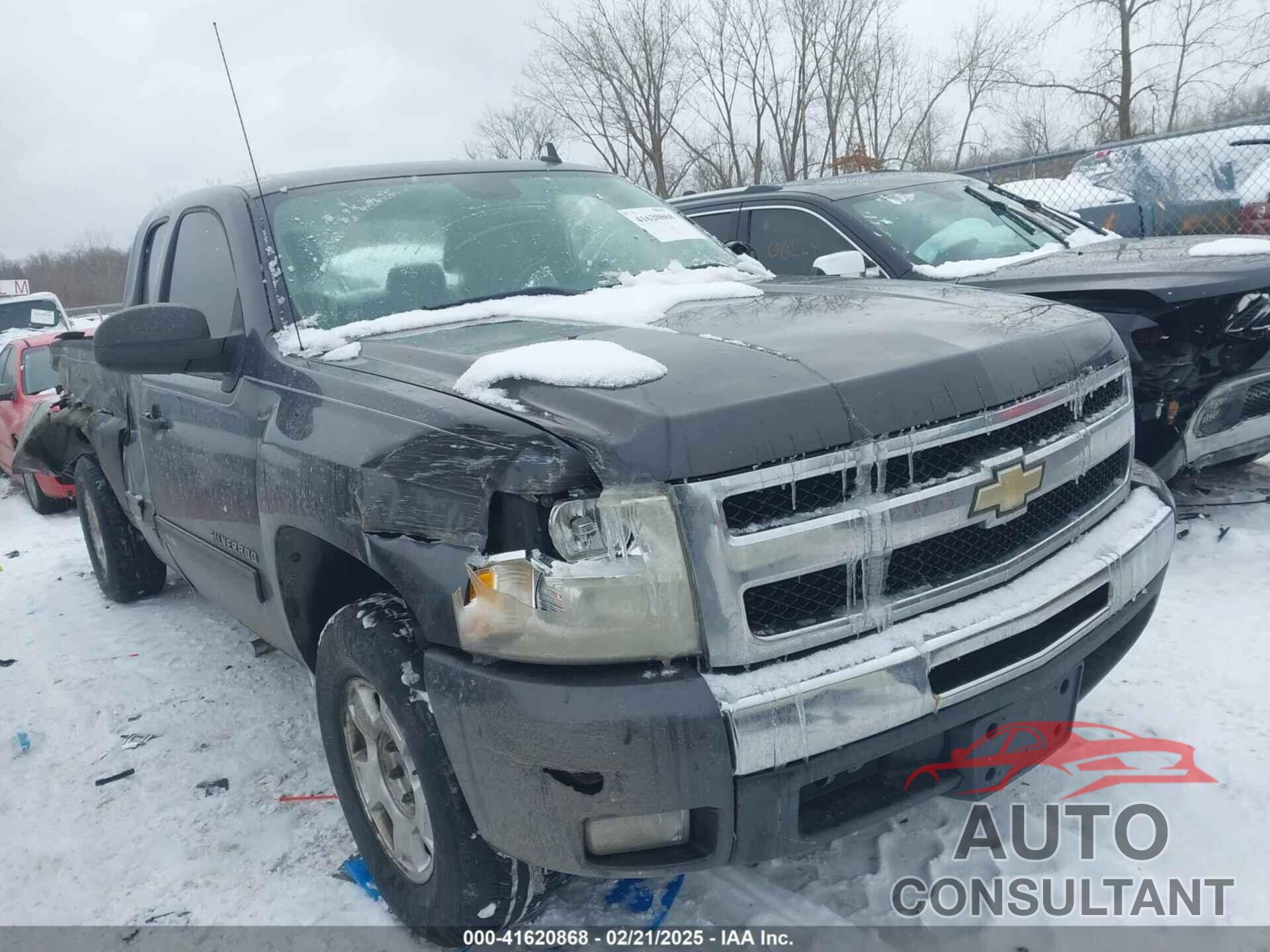 CHEVROLET SILVERADO 1500 2010 - 1GCSCSE04AZ294133