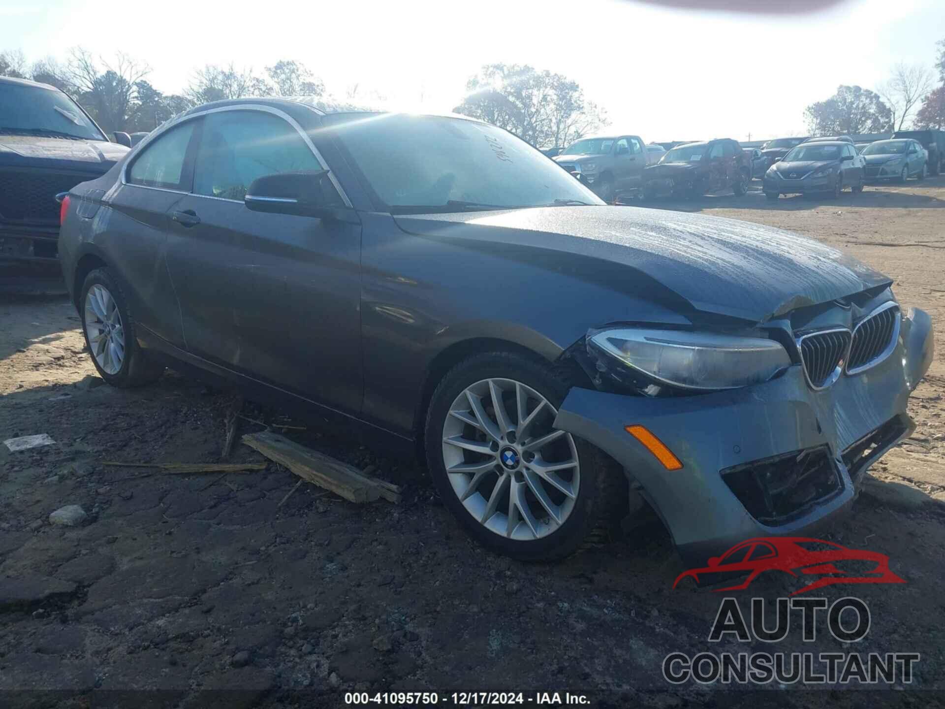 BMW 228I 2016 - WBA1F9C59GV546272