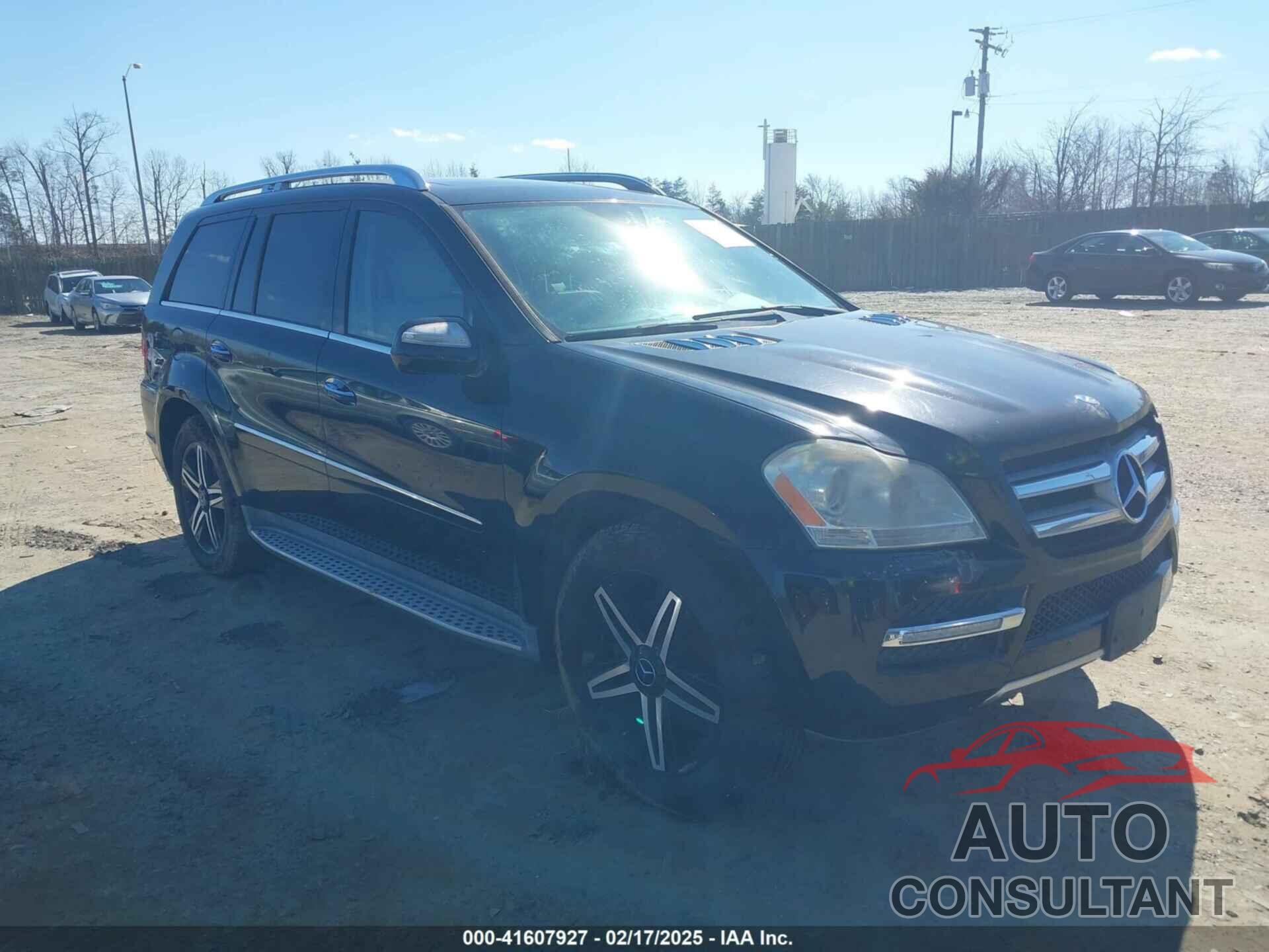MERCEDES-BENZ GL 450 2010 - 4JGBF7BE6AA535673