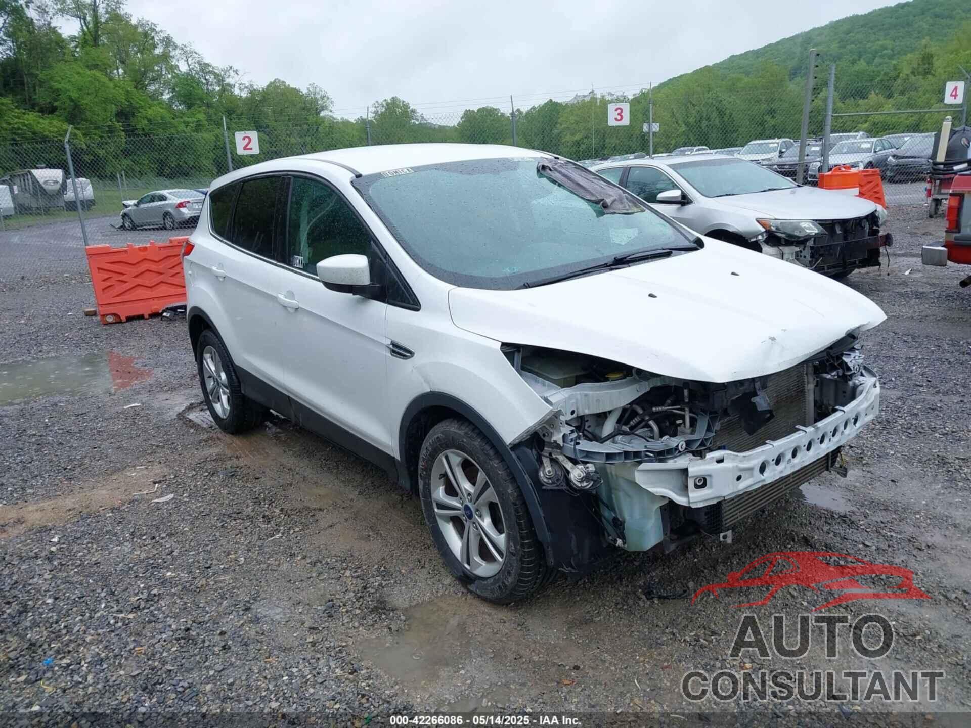 FORD ESCAPE 2014 - 1FMCU0GXXEUC23646
