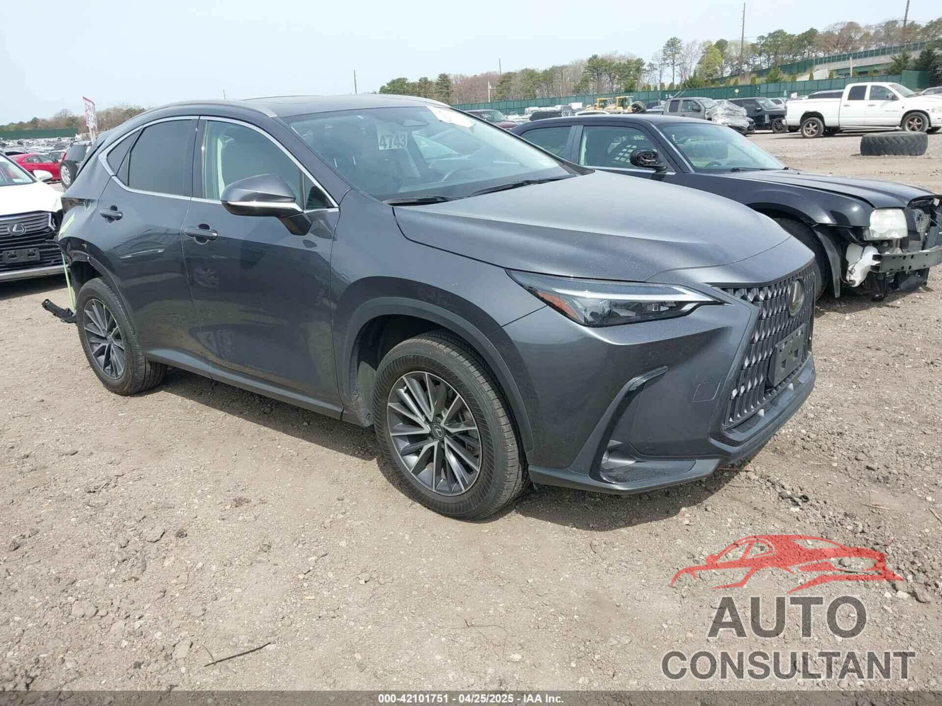 LEXUS NX 350 2023 - 2T2GGCEZ8PC024142