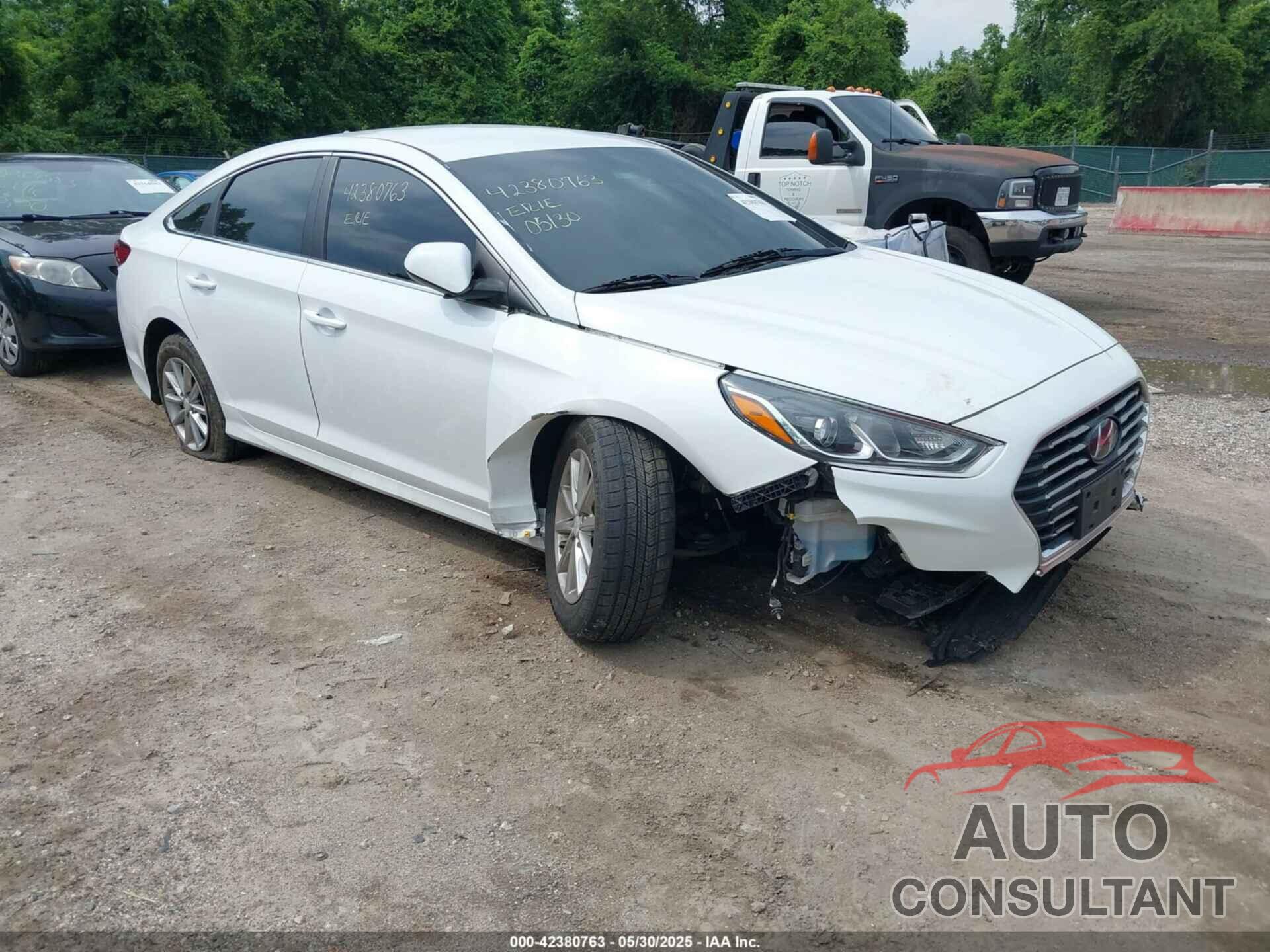 HYUNDAI SONATA 2019 - 5NPE24AFXKH777253