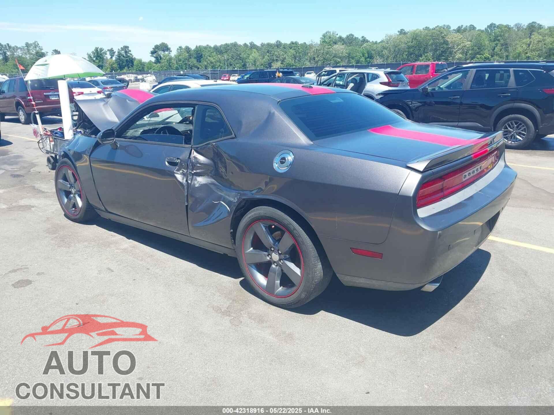 DODGE CHALLENGER 2014 - 2C3CDYAG4EH121892
