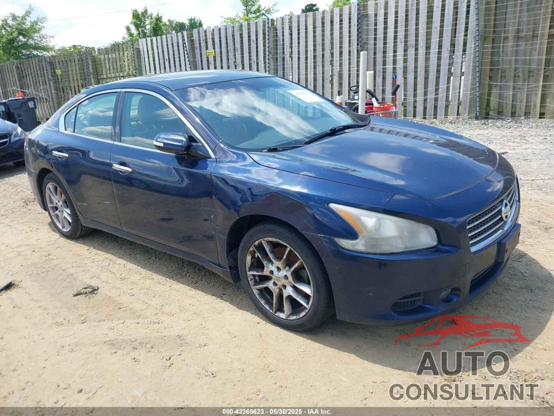 NISSAN MAXIMA 2011 - 1N4AA5AP0BC813310
