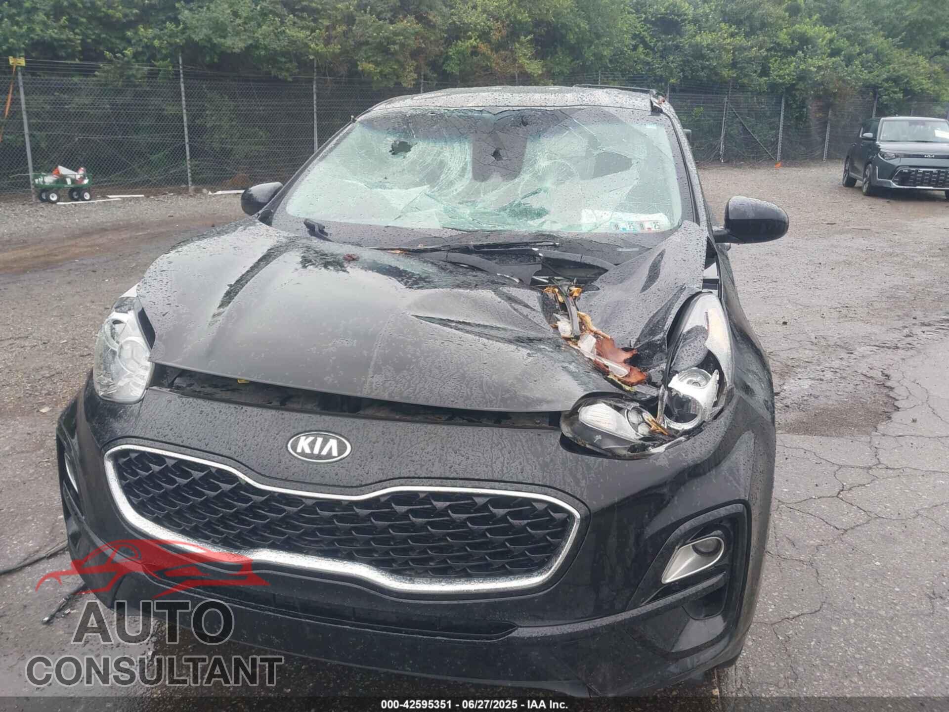 KIA SPORTAGE 2022 - KNDPMCAC3N7993473