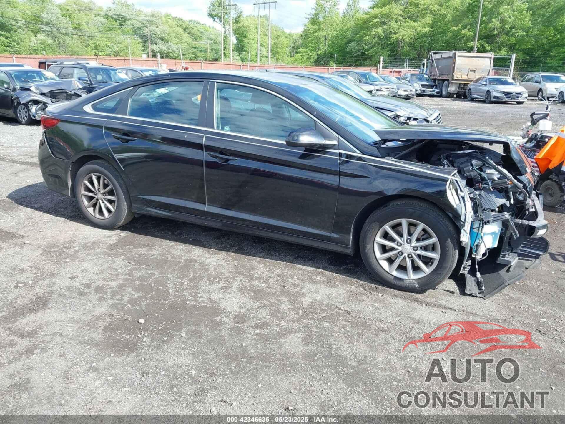 HYUNDAI SONATA 2019 - 5NPE24AF0KH776953