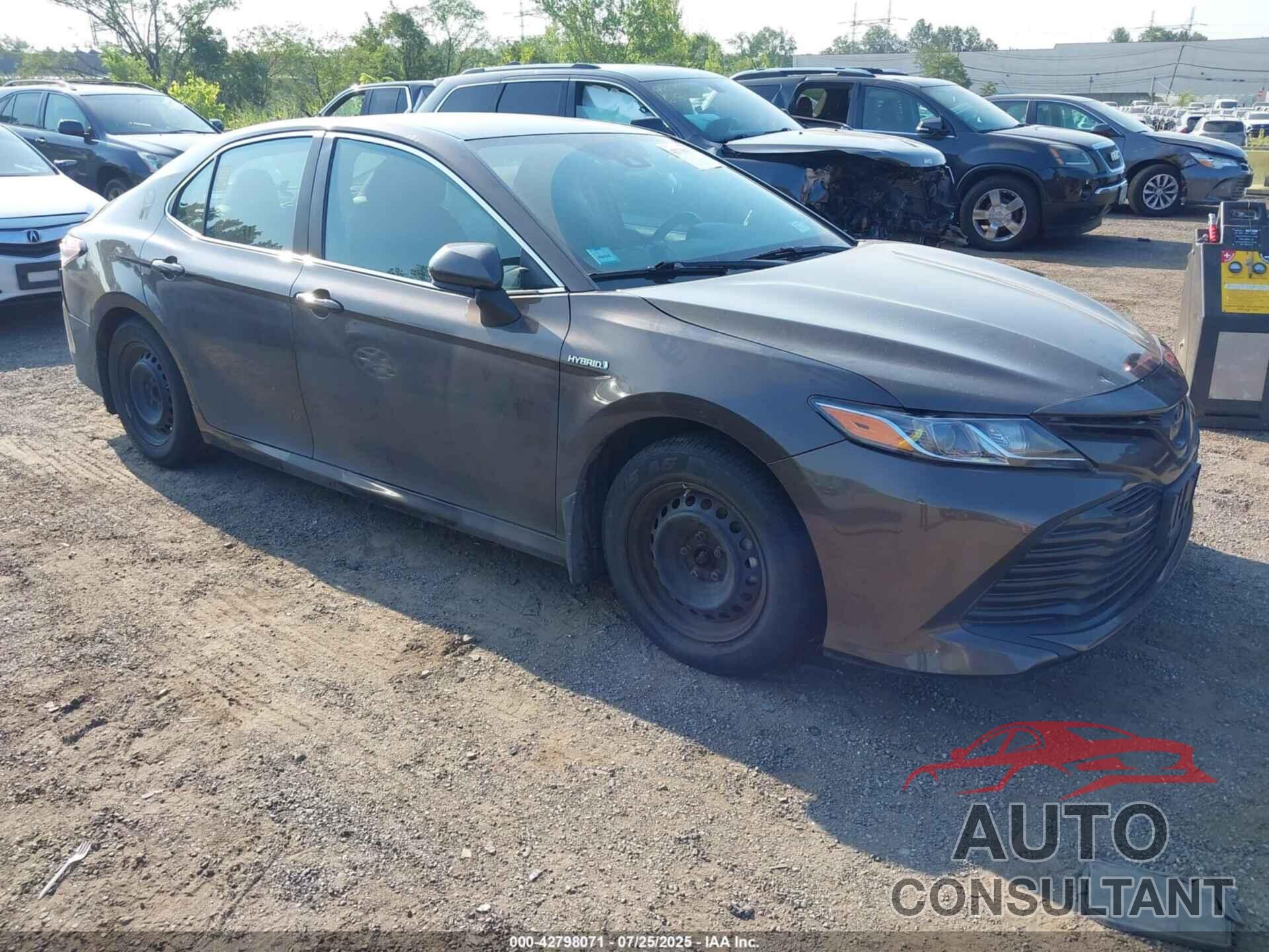 TOYOTA CAMRY HYBRID 2019 - 4T1B31HK1KU515429
