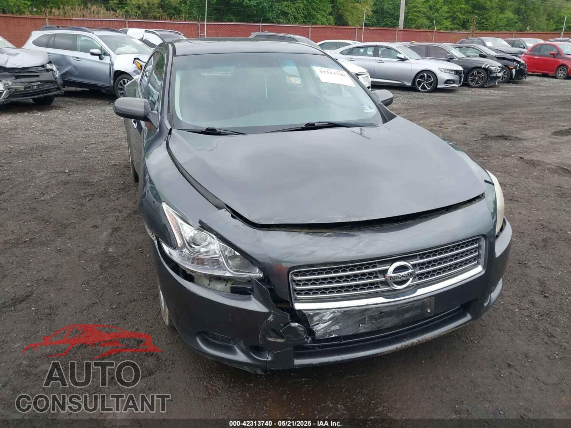 NISSAN MAXIMA 2011 - 1N4AA5AP1BC807662