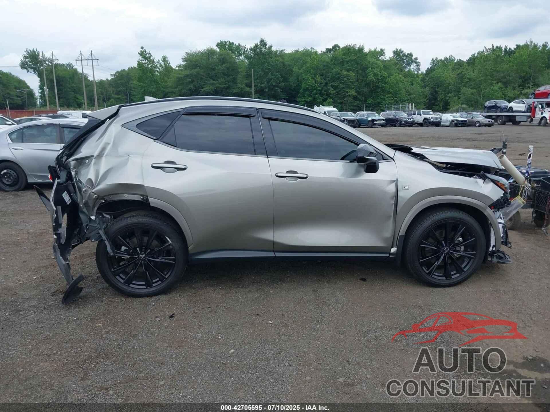 LEXUS NX 350 2024 - 2T2KGCEZ1RC059750