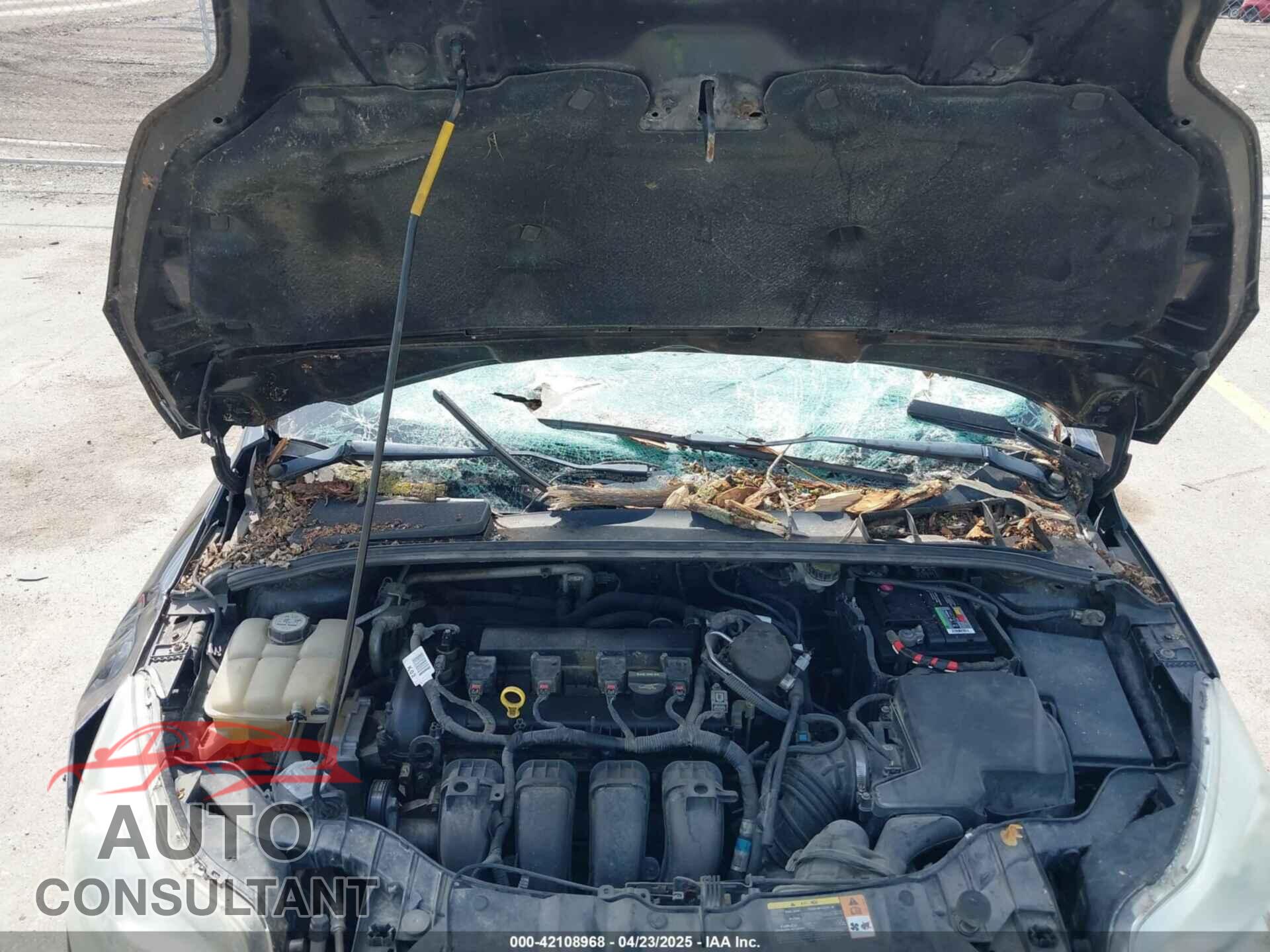 FORD FOCUS 2013 - 1FADP3F21DL321028