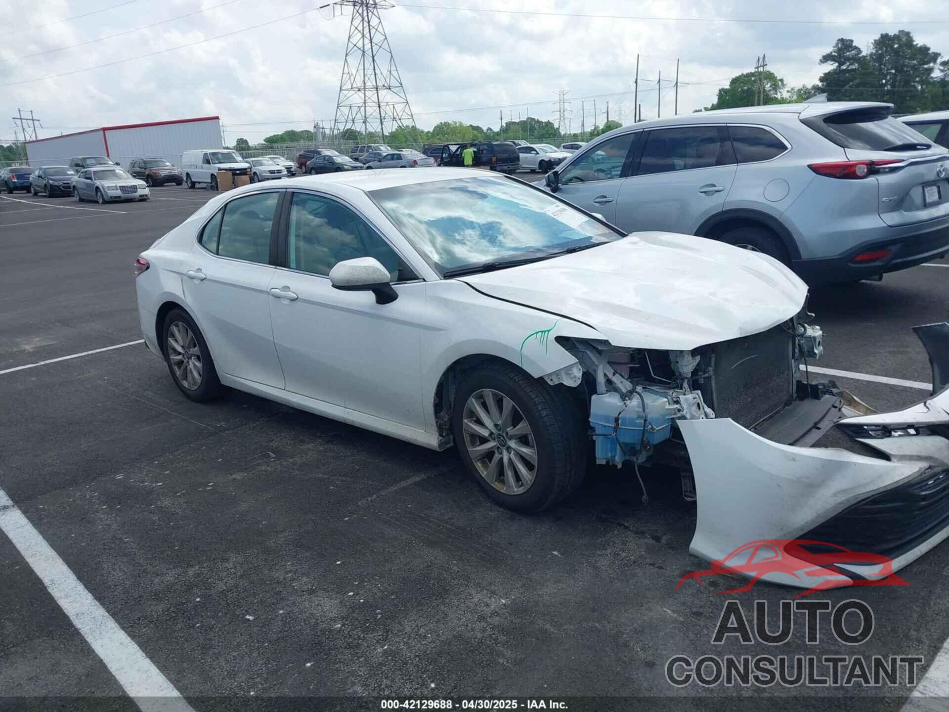 TOYOTA CAMRY 2019 - 4T1B11HK2KU743445