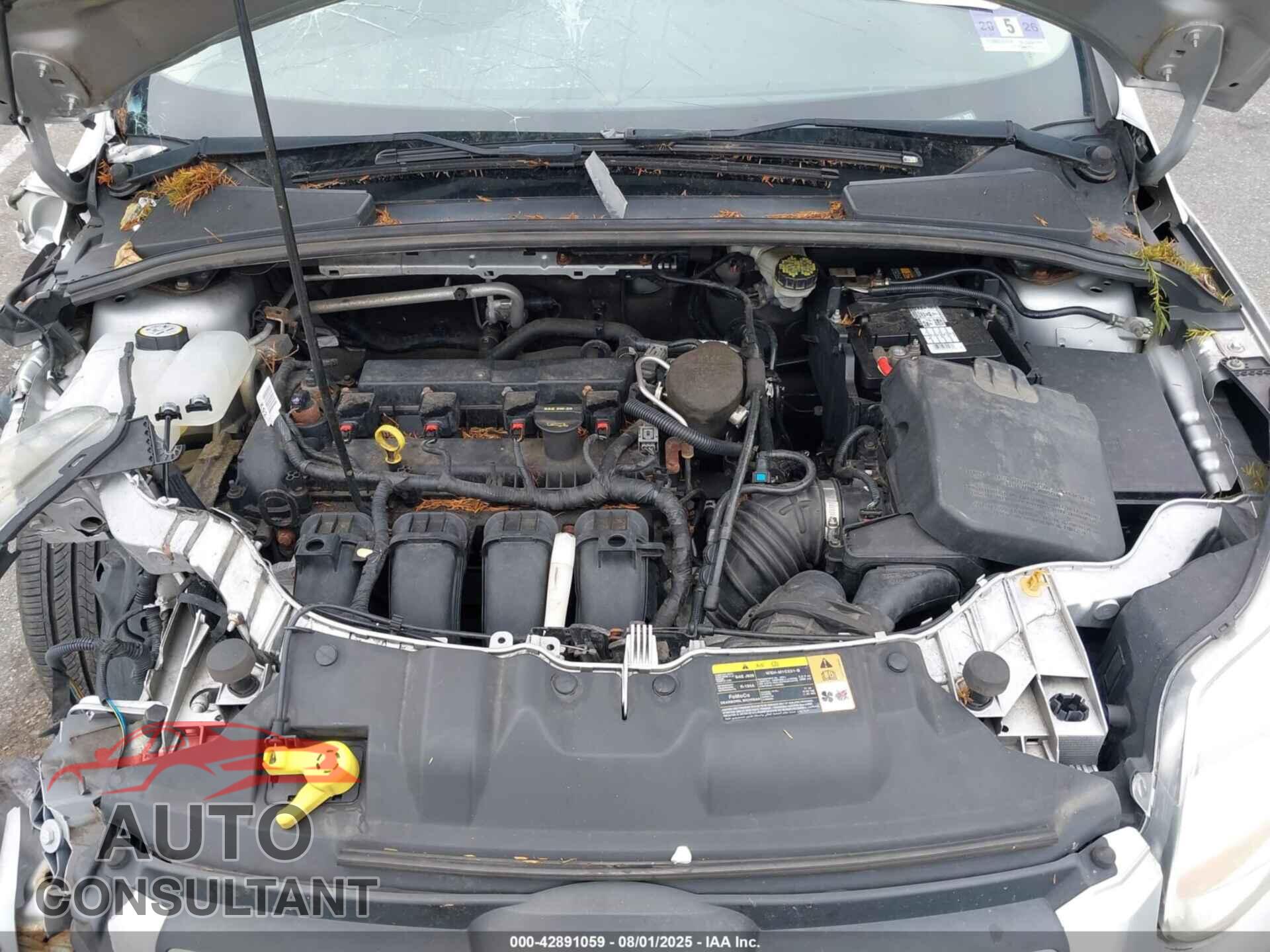 FORD FOCUS 2013 - 1FADP3F23DL294074