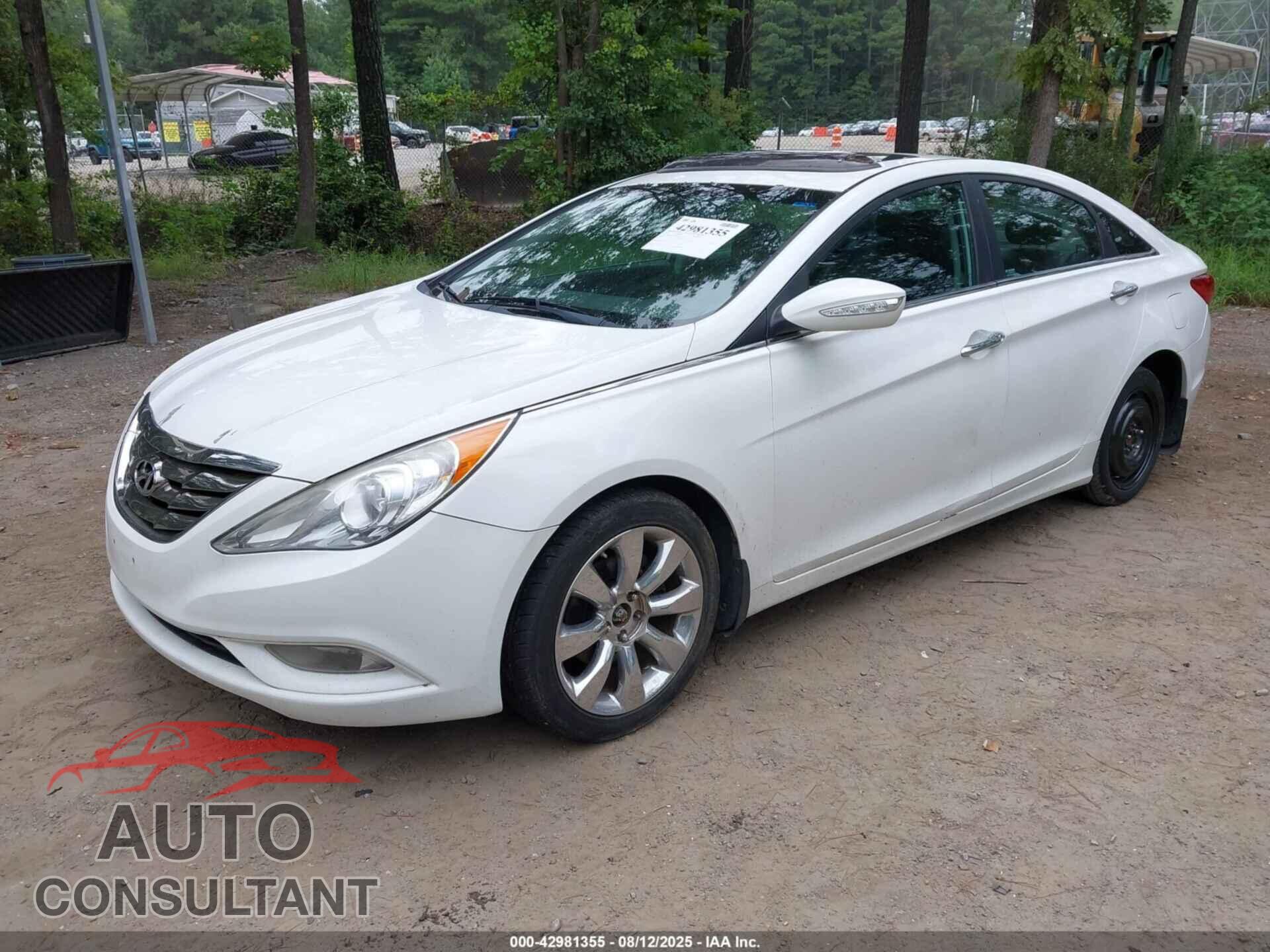 HYUNDAI SONATA 2013 - 5NPEC4AC1DH586794
