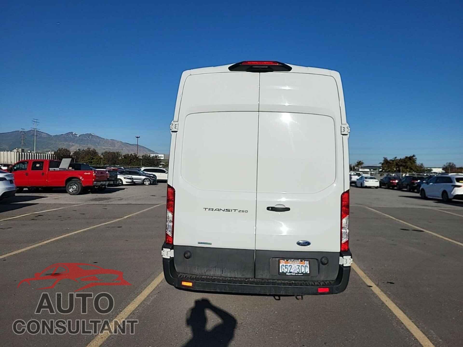 FORD TRANSIT 2020 - 1FTBR3UG1LKB26139