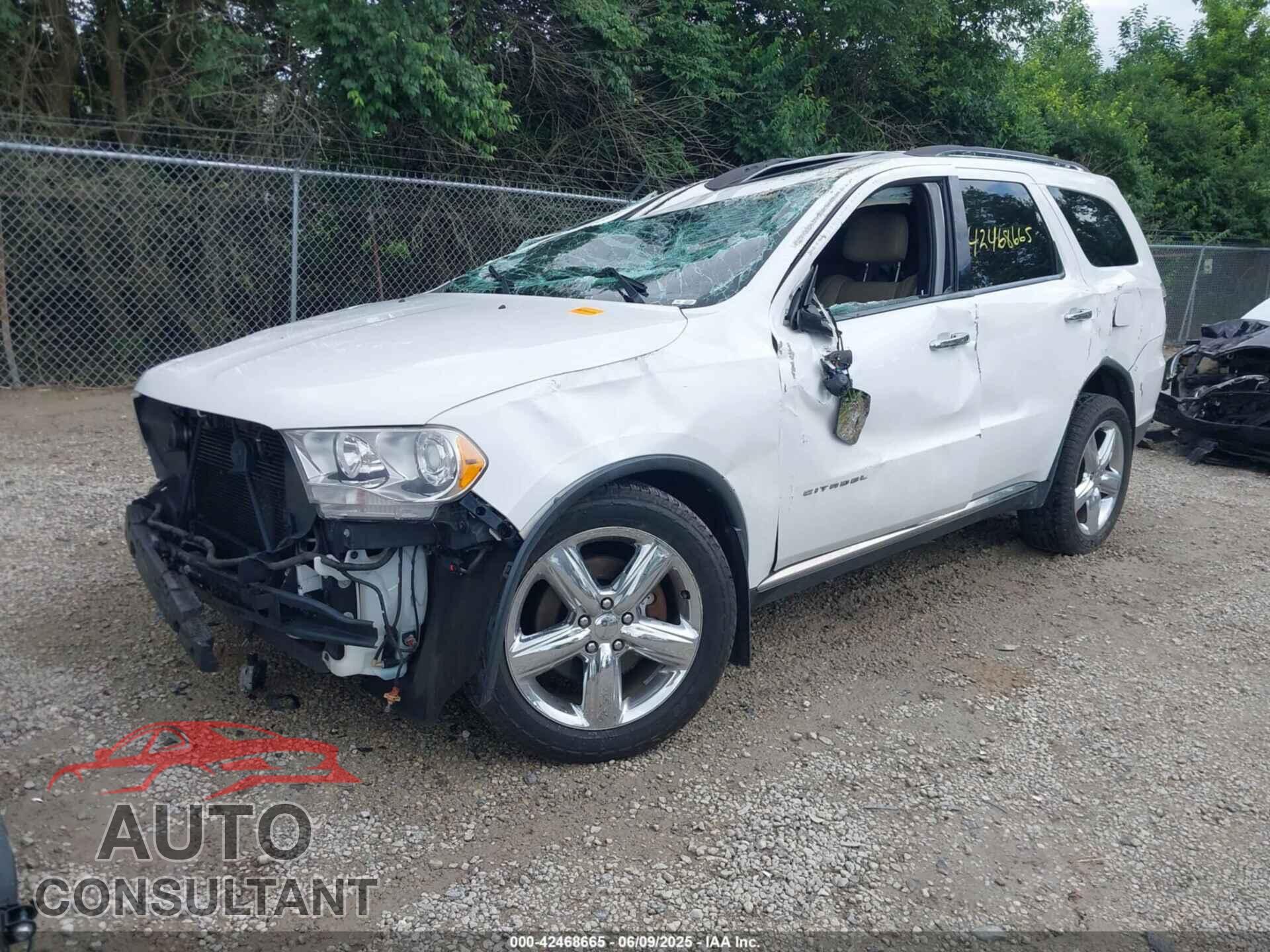 DODGE DURANGO 2013 - 1C4RDJEGXDC559700