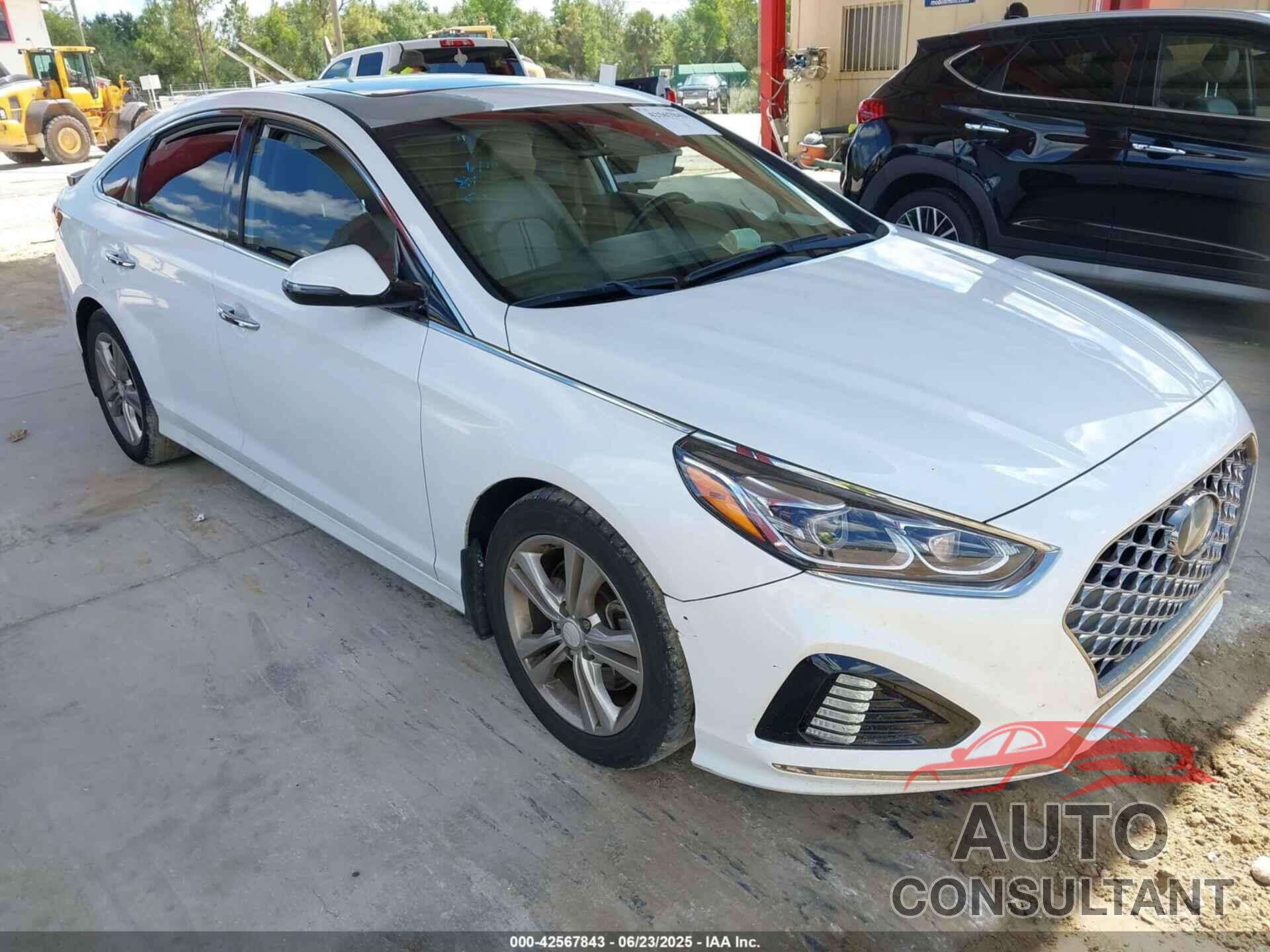 HYUNDAI SONATA 2019 - 5NPE34AF2KH814910