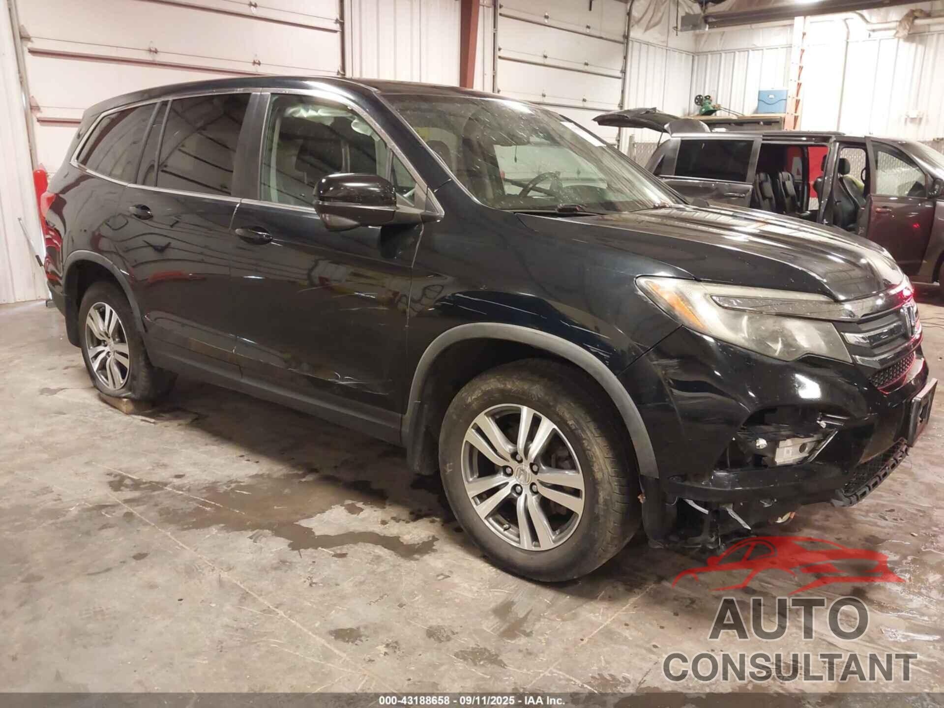 HONDA PILOT 2016 - 5FNYF6H55GB008742