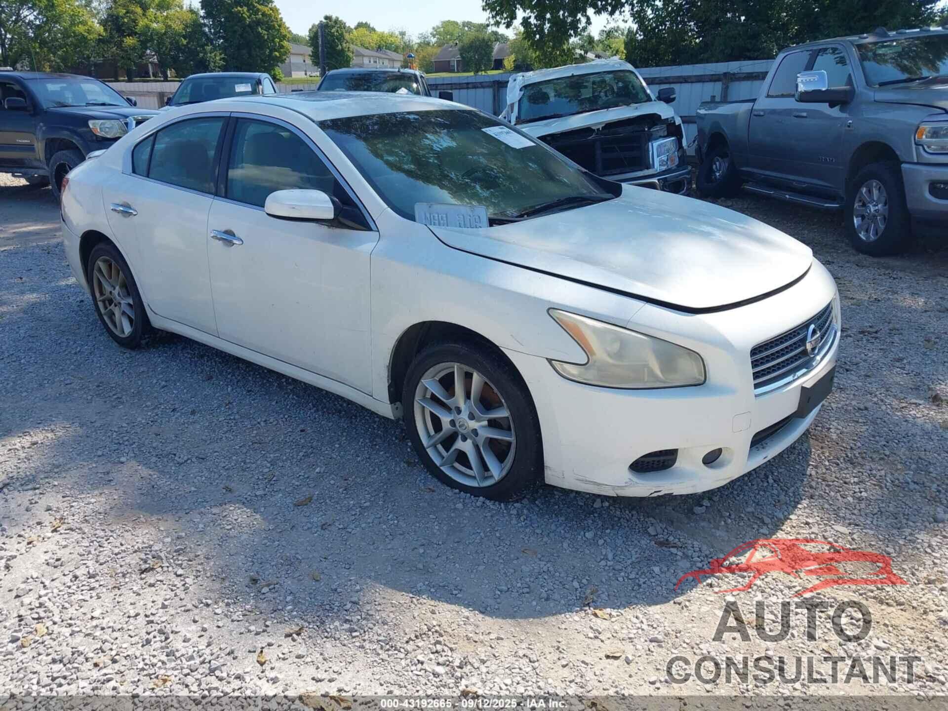 NISSAN MAXIMA 2011 - 1N4AA5AP8BC829769
