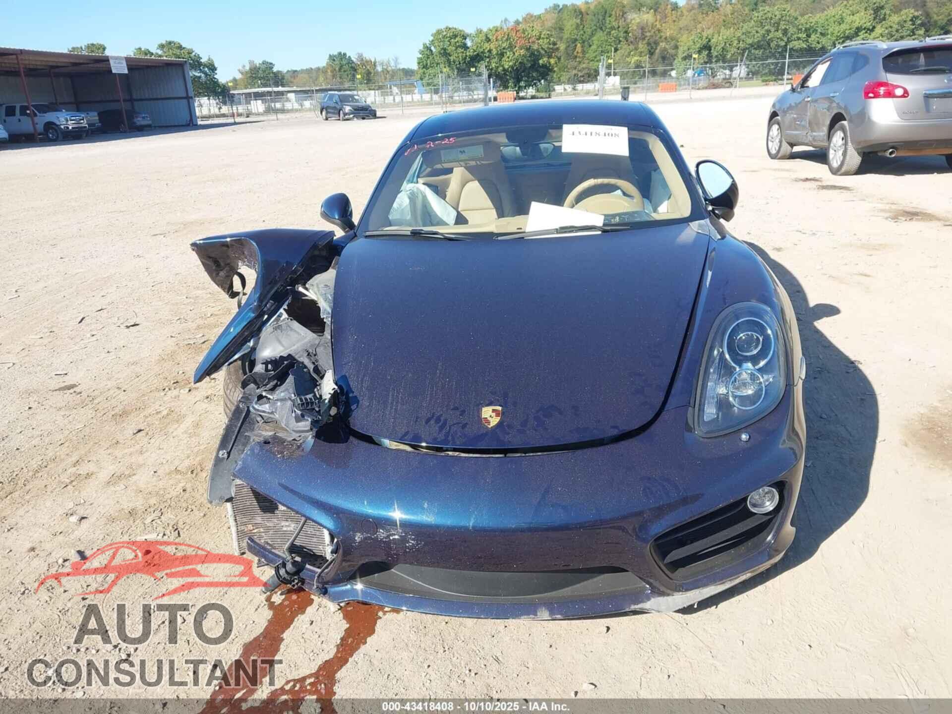PORSCHE CAYMAN 2014 - WP0AB2A89EK190892