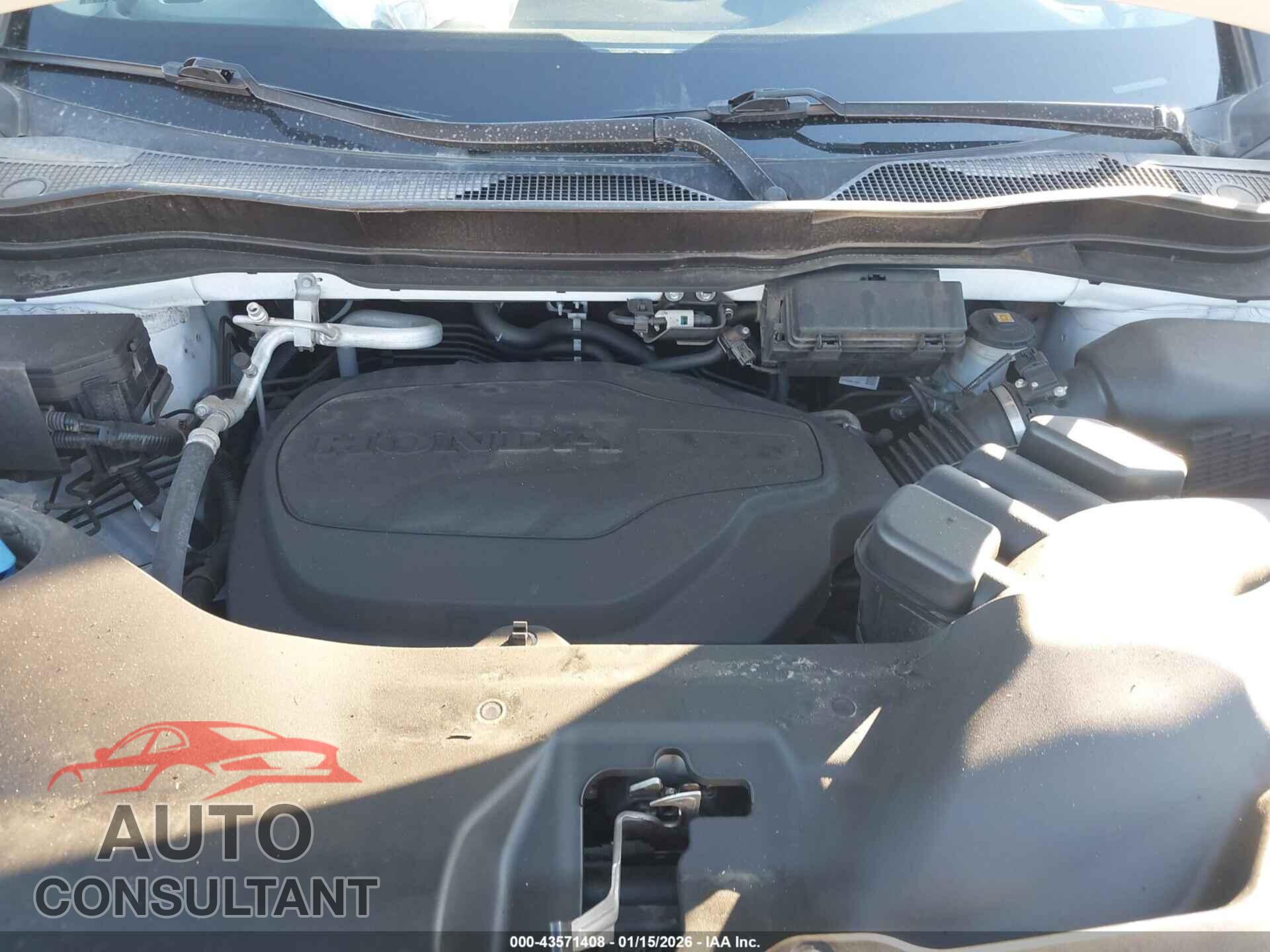 HONDA RIDGELINE 2023 - 5FPYK3F10PB044176