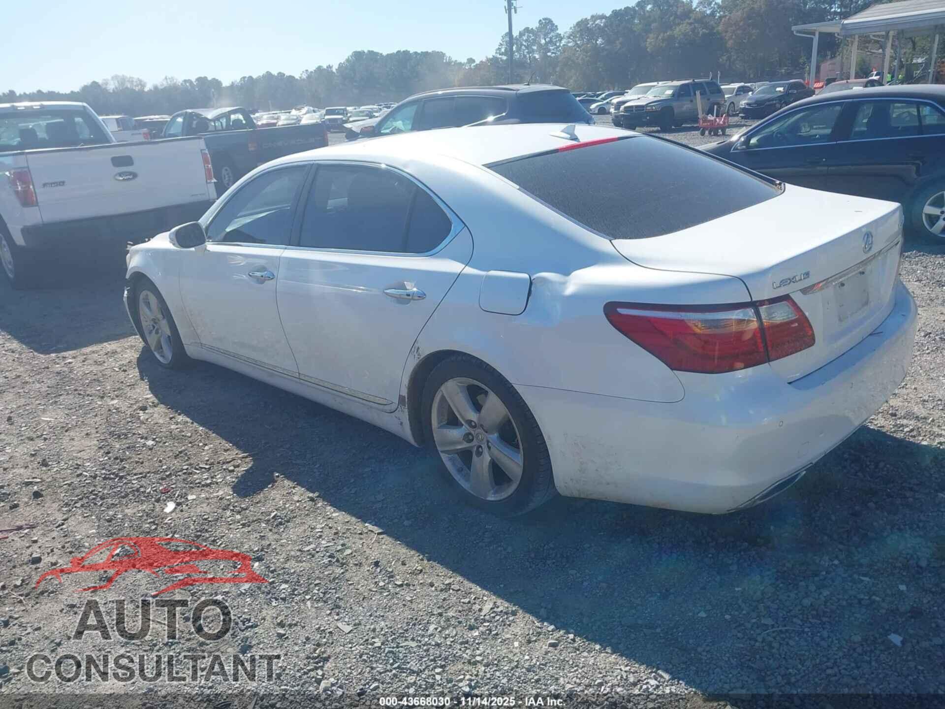 LEXUS LS 460 2010 - JTHGL5EF8A5037431