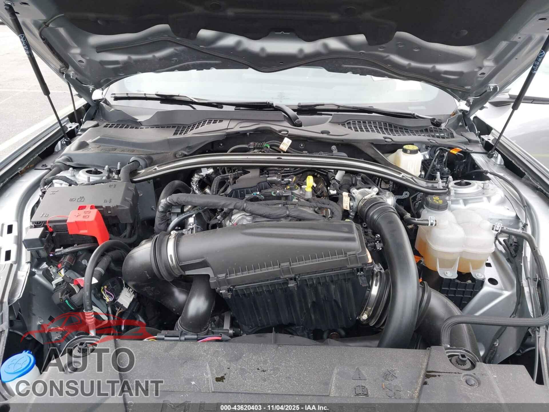 FORD MUSTANG 2025 - 1FAGP8UH2S5121049