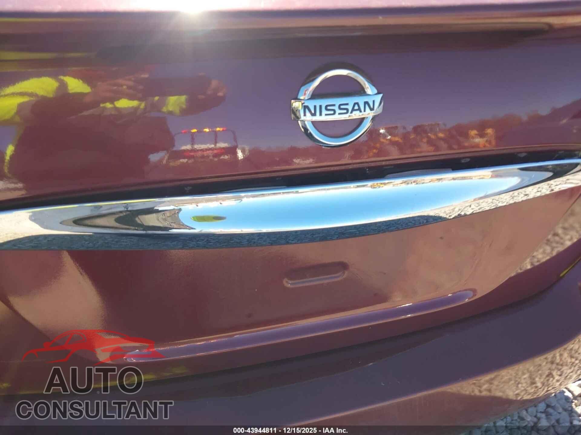 NISSAN MAXIMA 2009 - 1N4AA51E79C843302