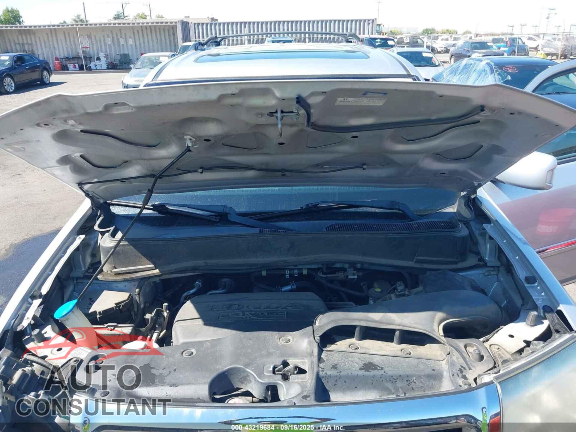 HONDA PILOT 2011 - 5FNYF3H95BB045073
